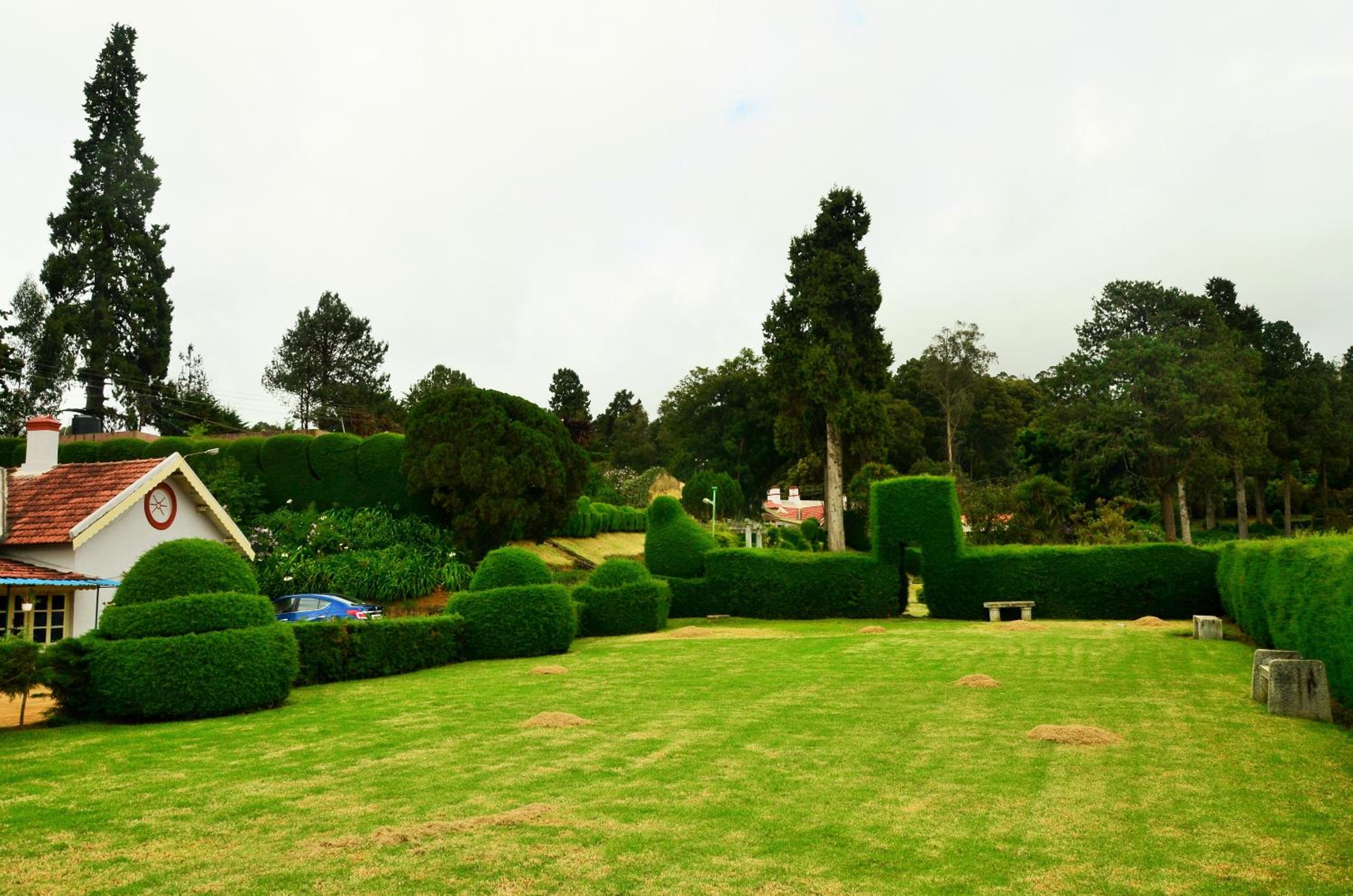 Photo 20