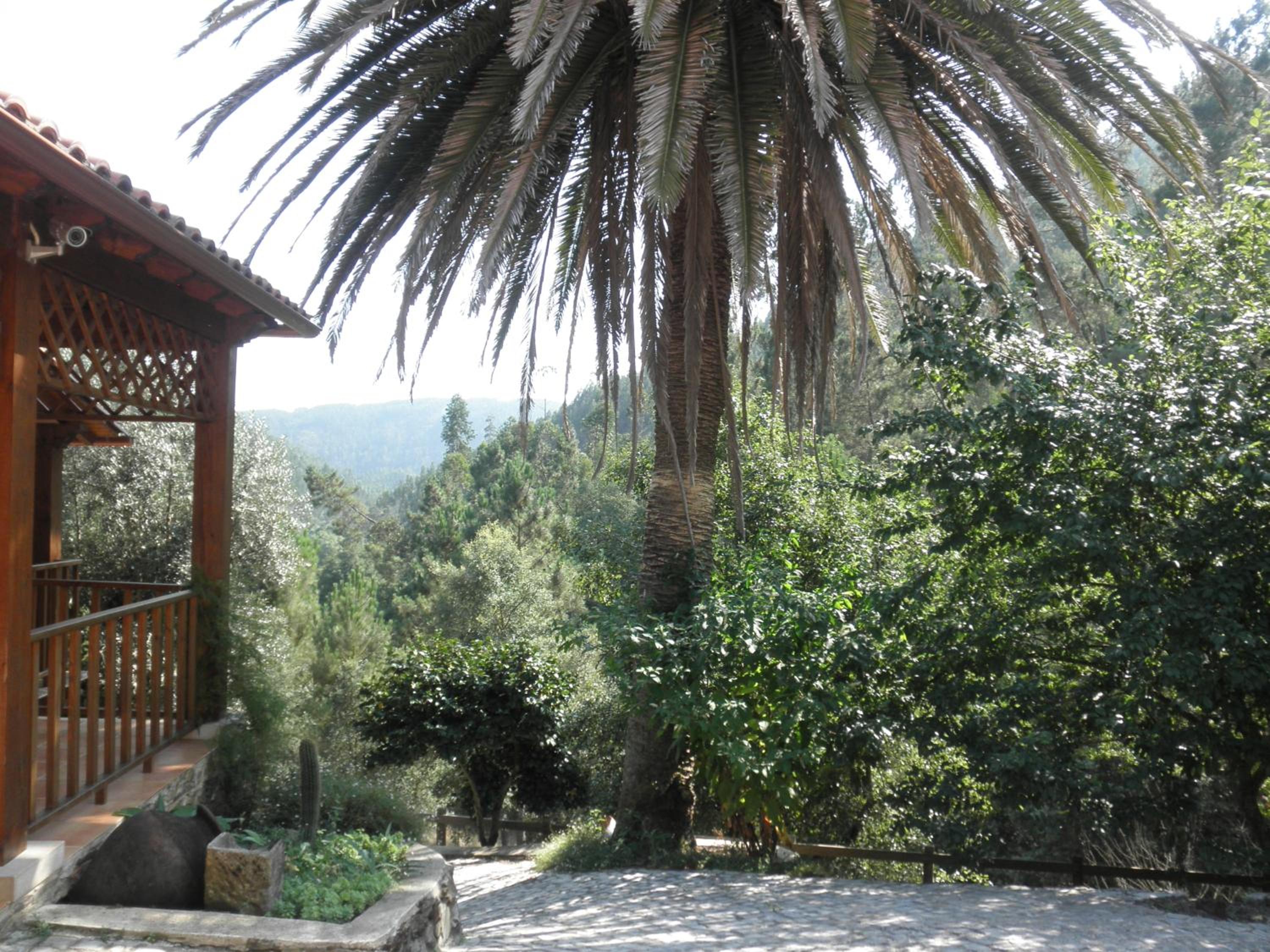 Casa Velha view 2