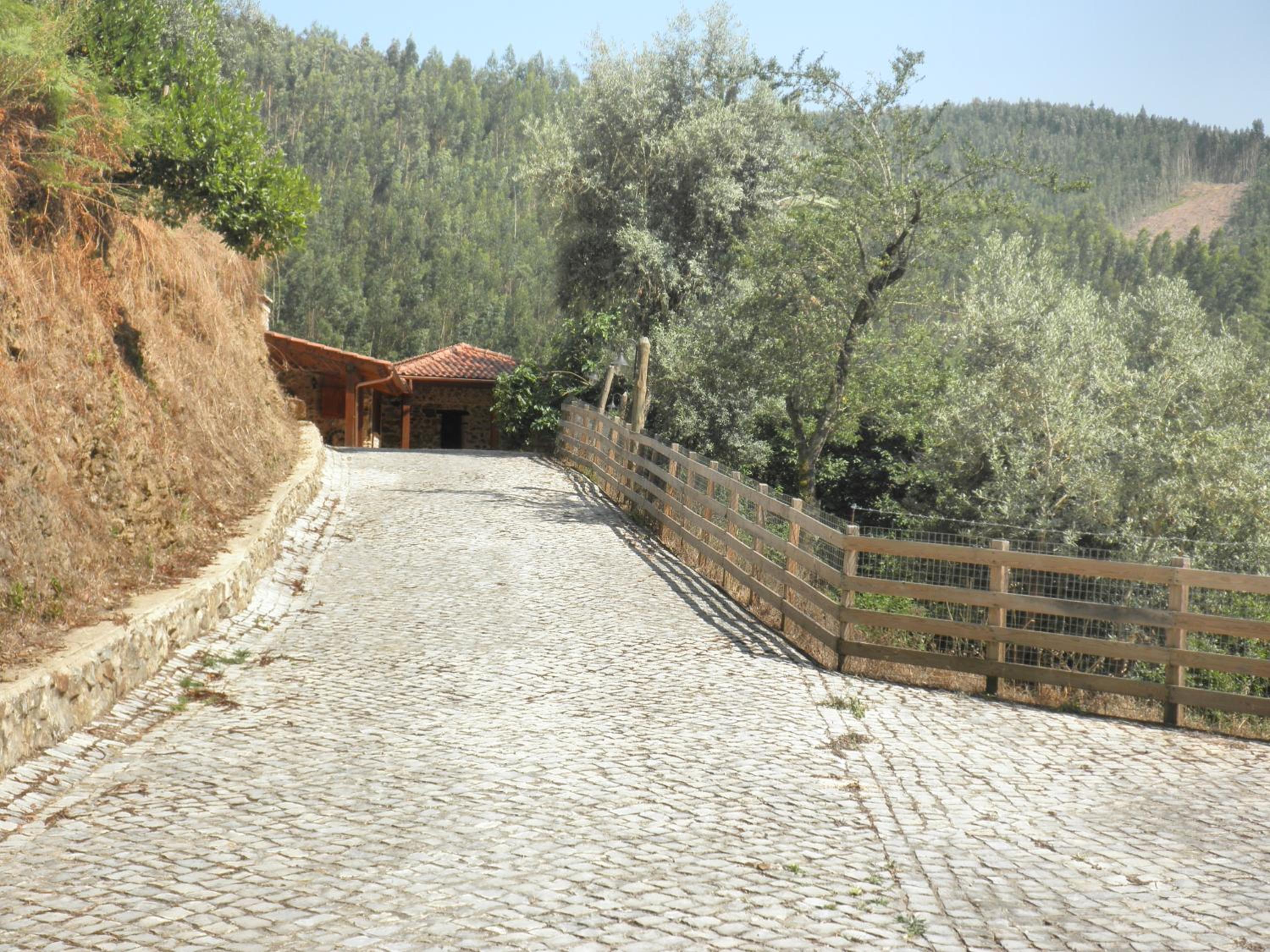 Casa Velha view 4