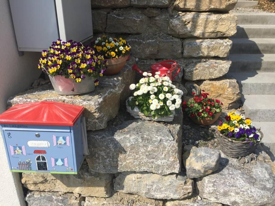 Ferienwohnung Im Laubgarten
