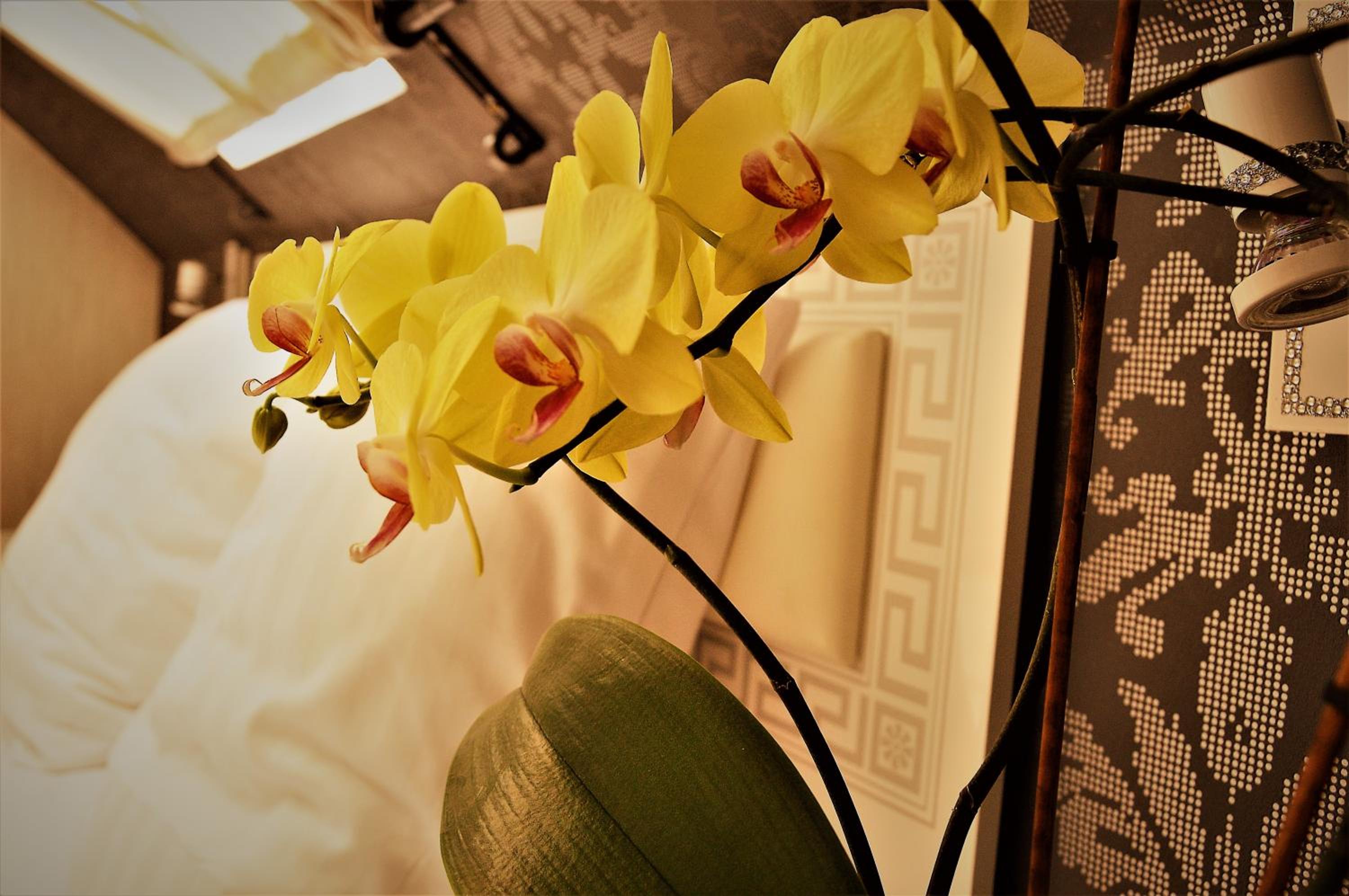 Sweet Life Wellness Apartments