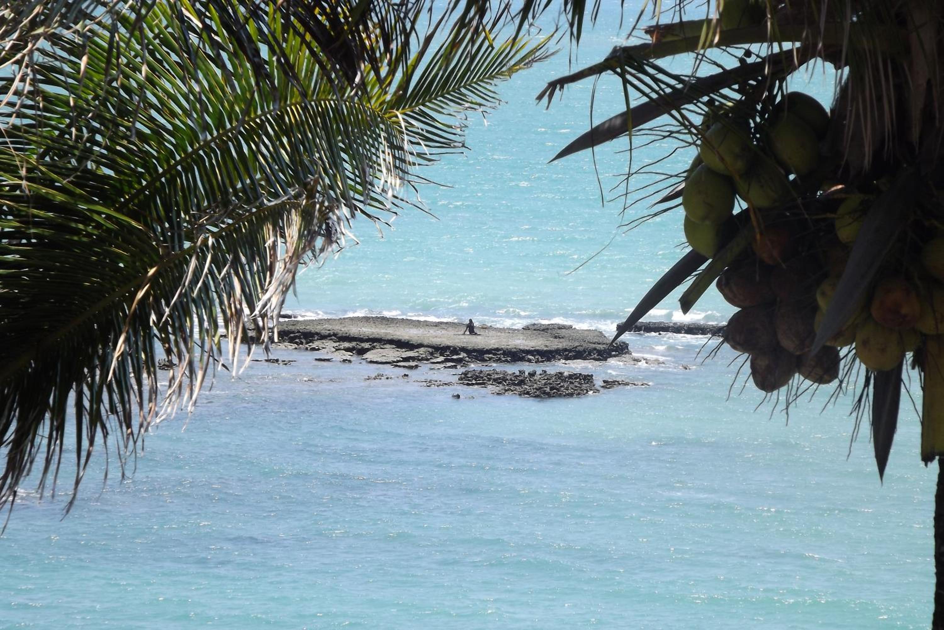 Sereia do Mar Pousada e Restaurante Ltda