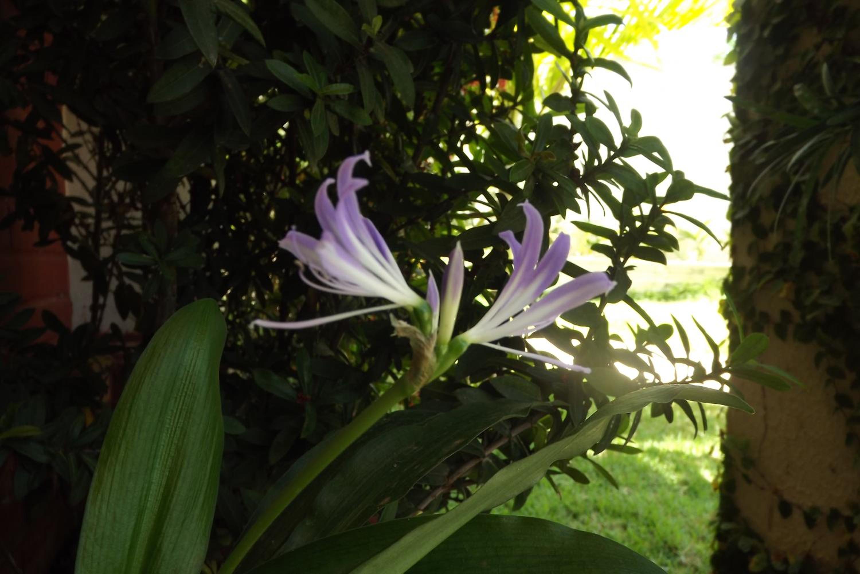Sereia do Mar Pousada e Restaurante Ltda