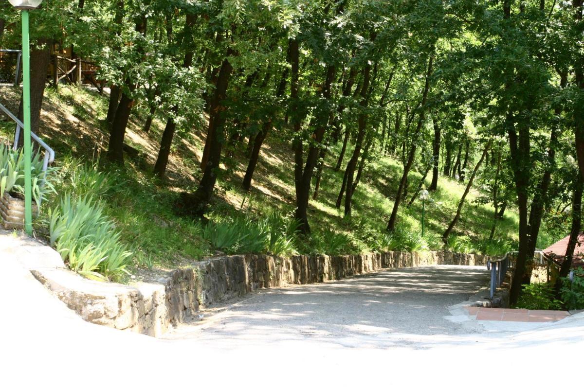 Firenze Certosa camping