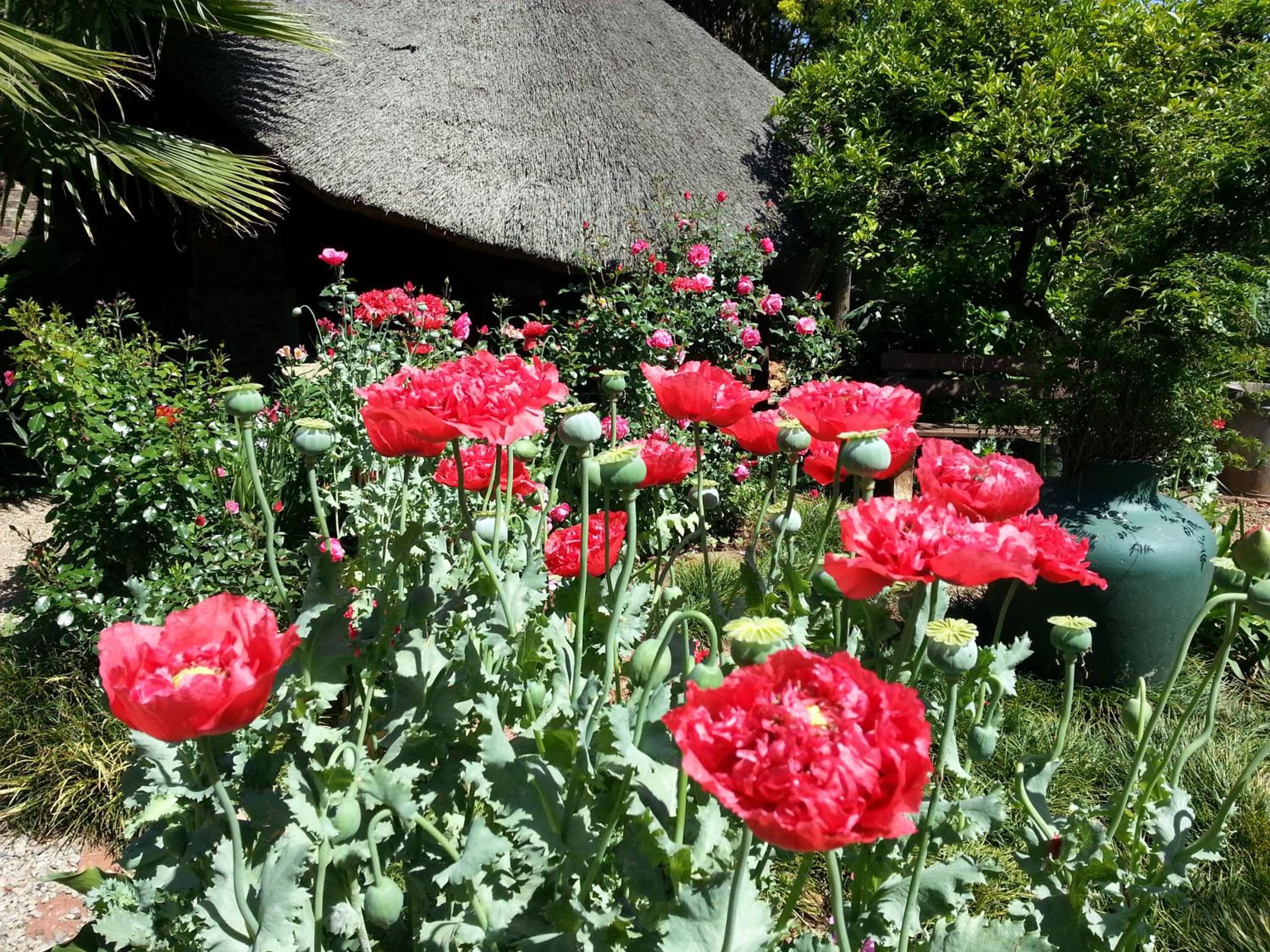 Agterplaas Guesthouse Pty Ltd