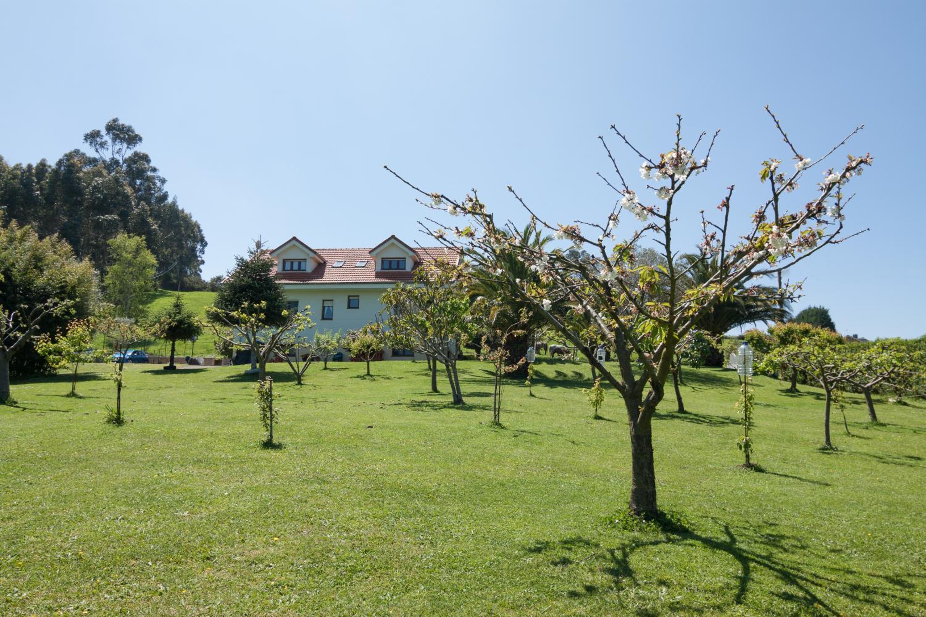 Villa Ruben