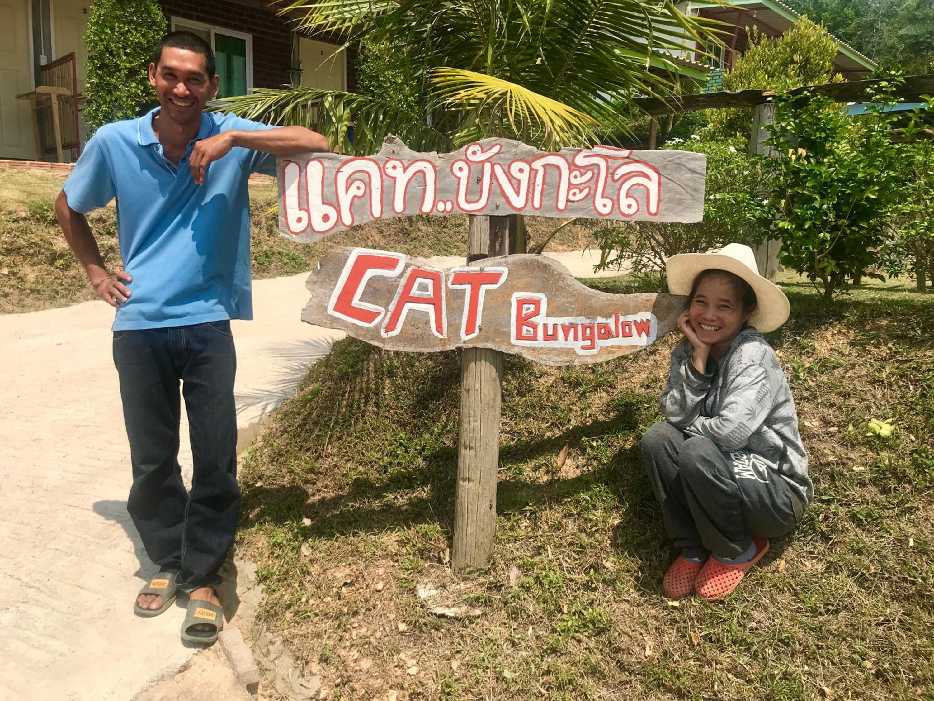 Cat Bungalow