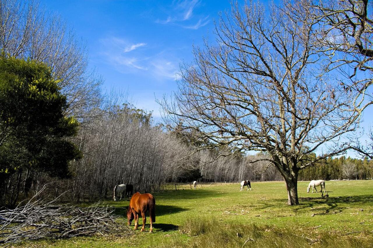 Doornbosch Estate view 3
