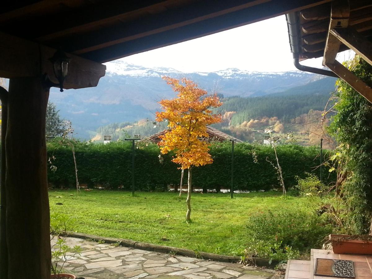 Photo 15