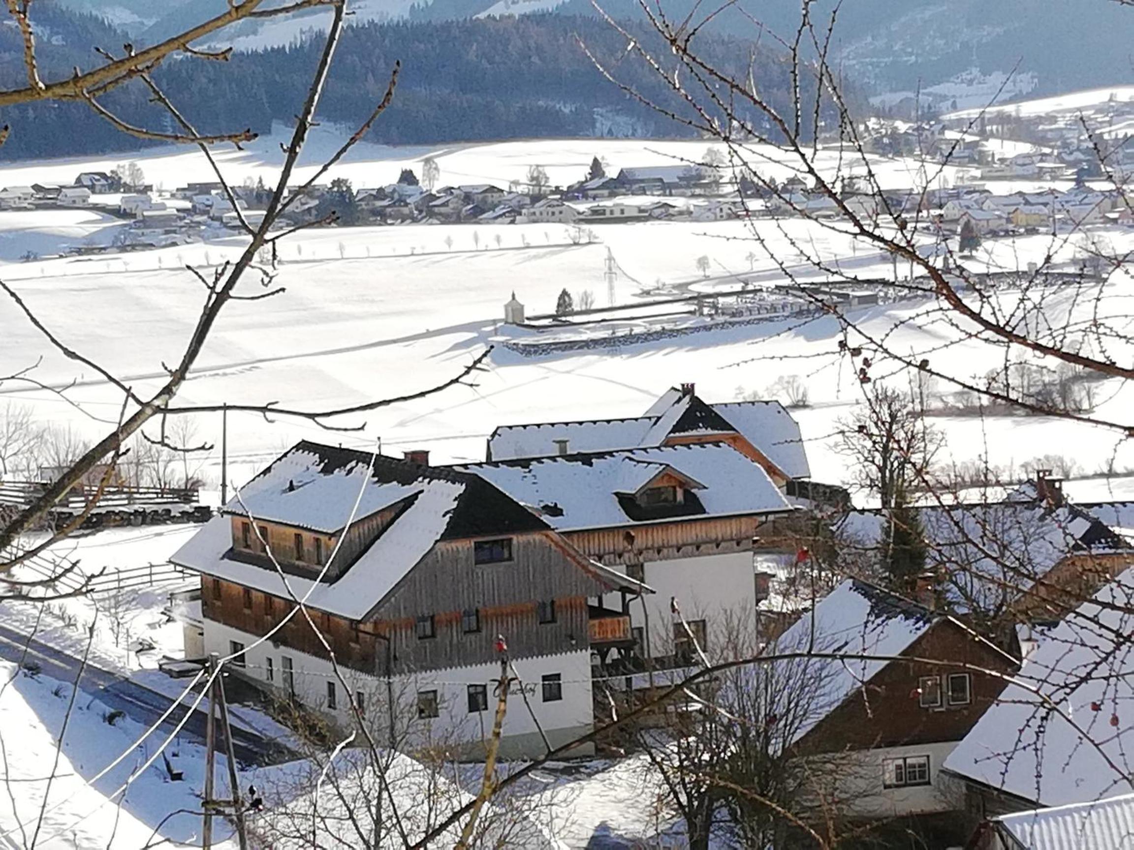Ortnerhof Ennstal