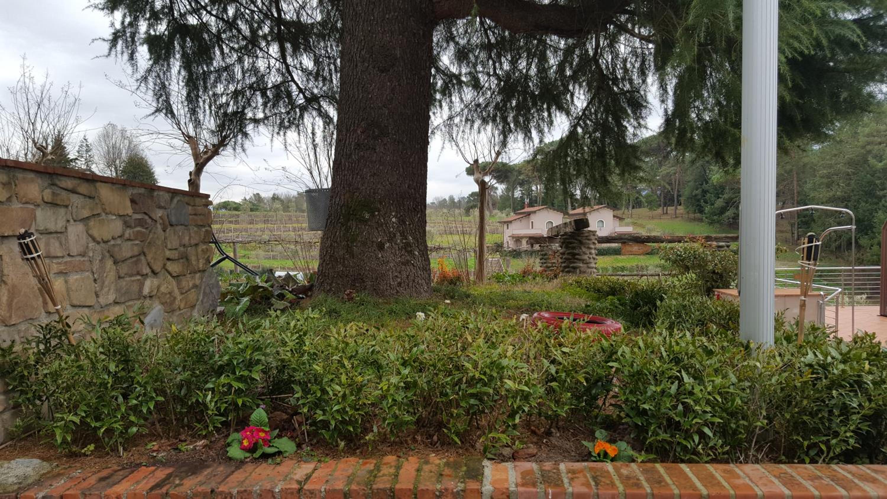 Photo 46