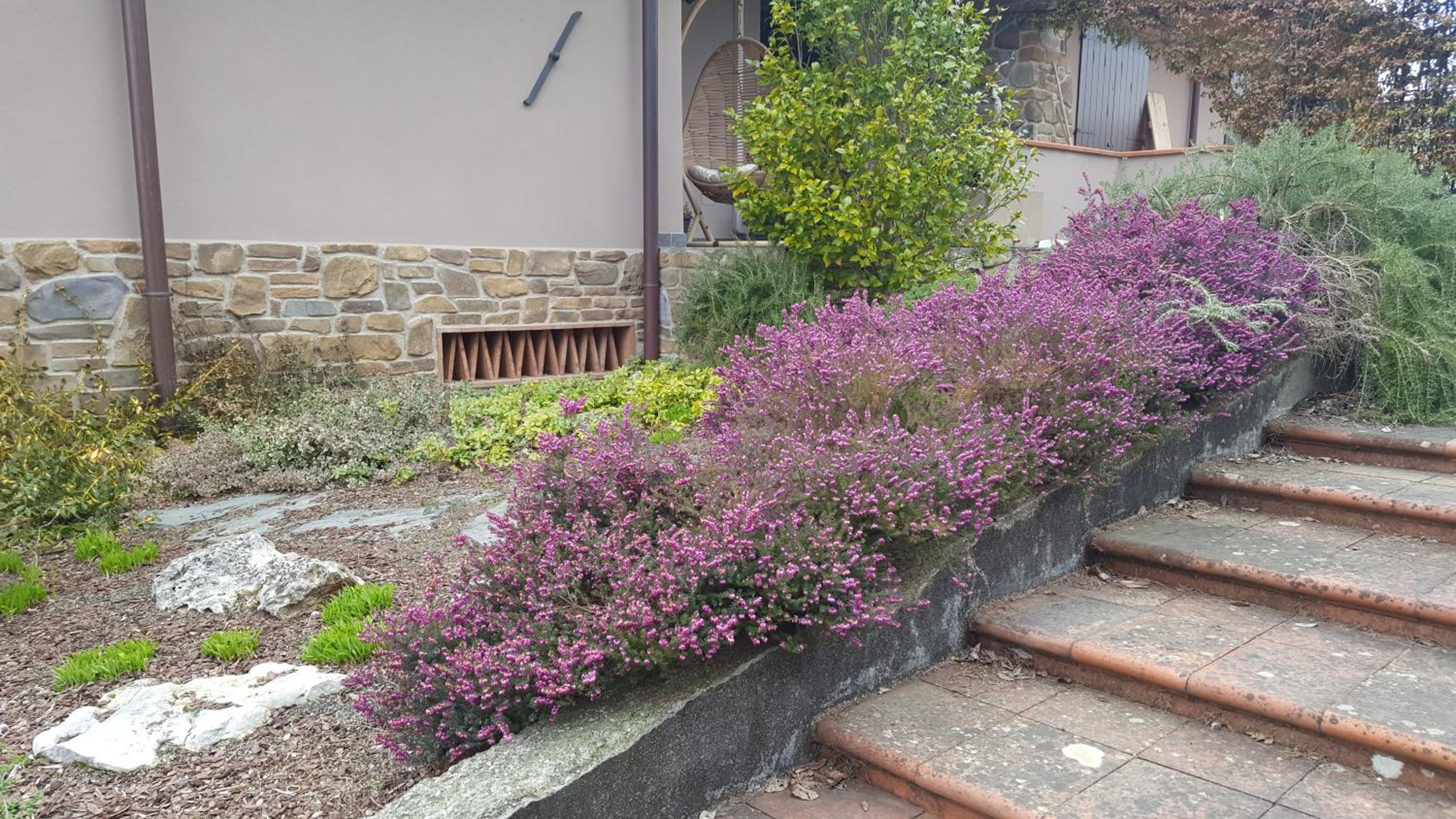 Photo 47