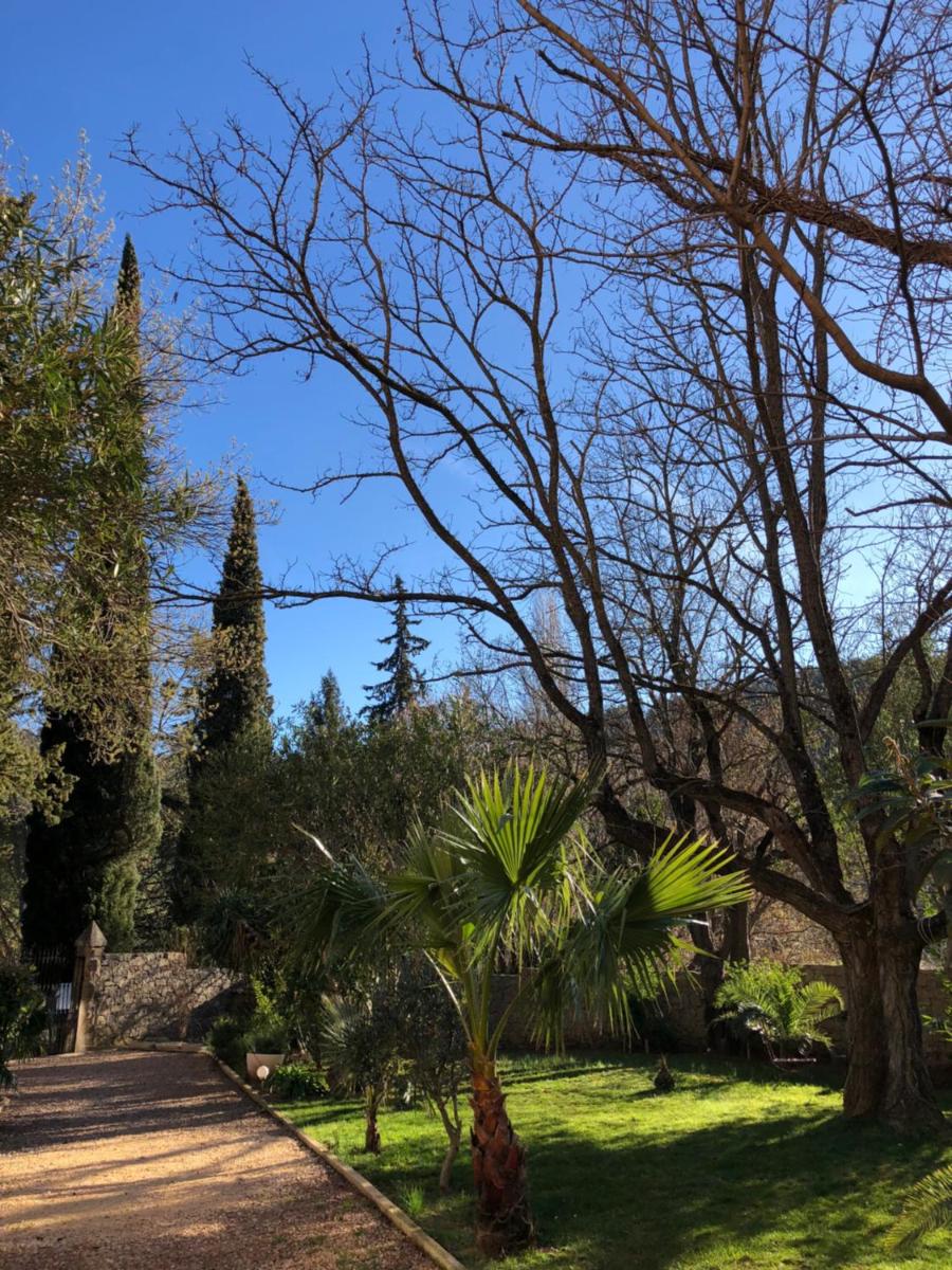 garden