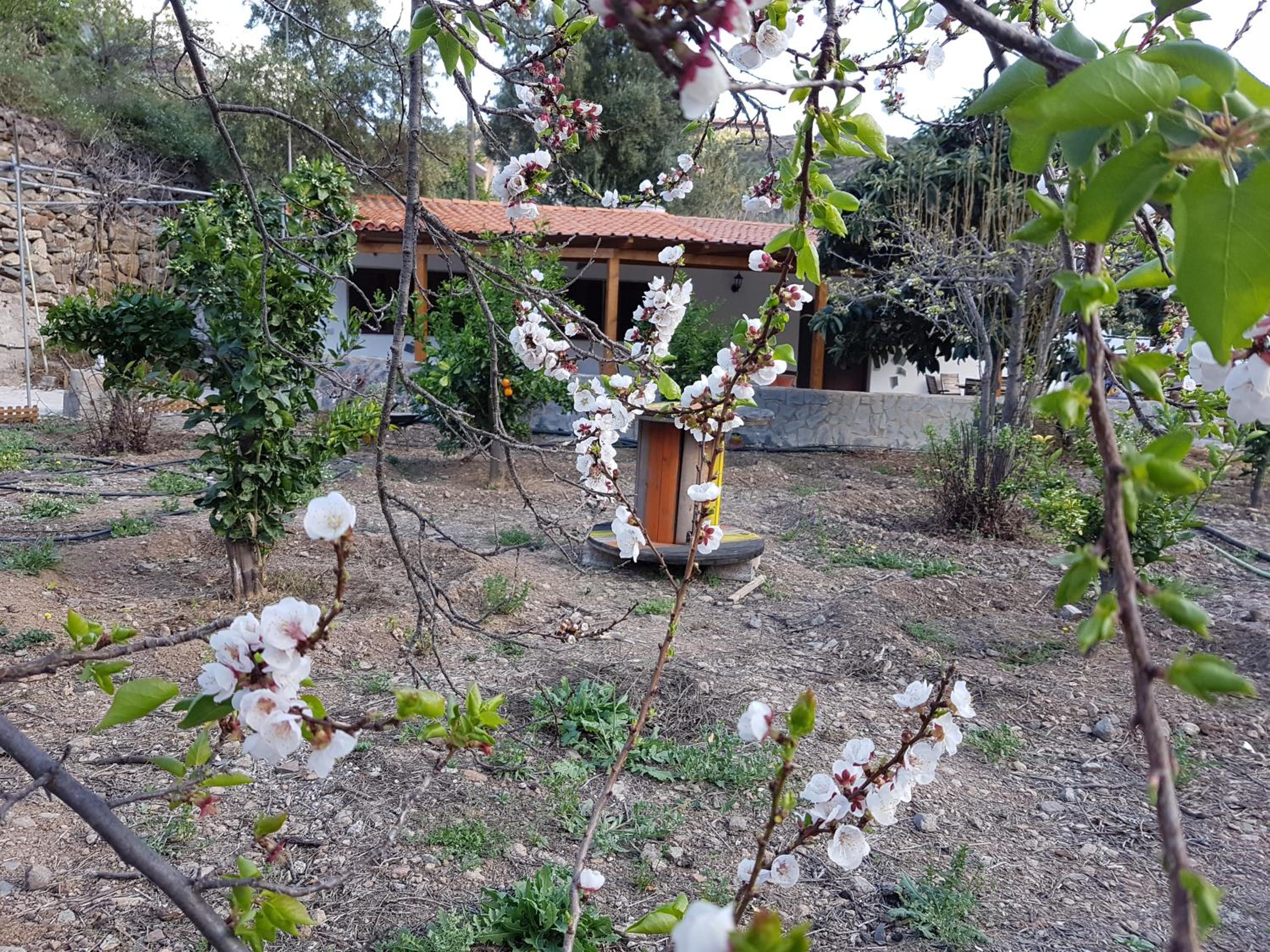 Casa Rural La Hoyita de Tunte view 4