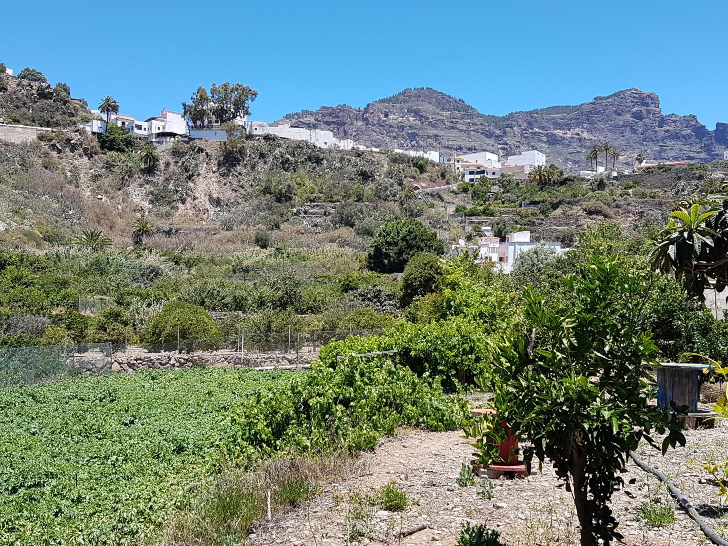 Casa Rural La Hoyita de Tunte view 3