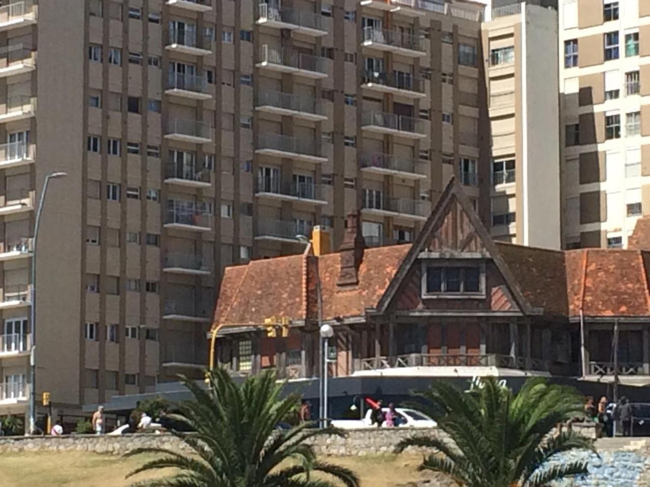MDQ viva!