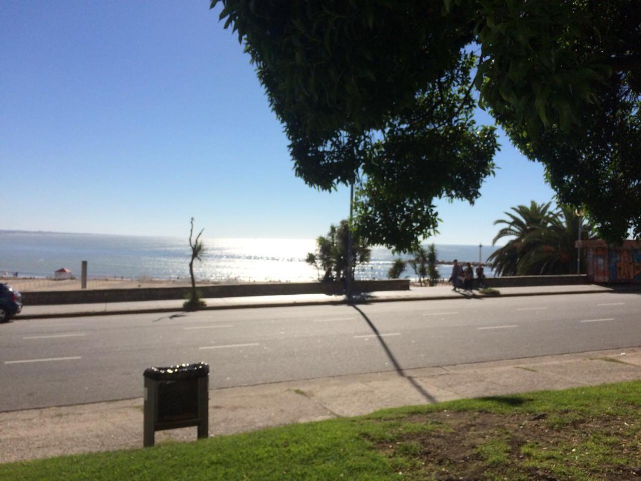 MDQ viva!