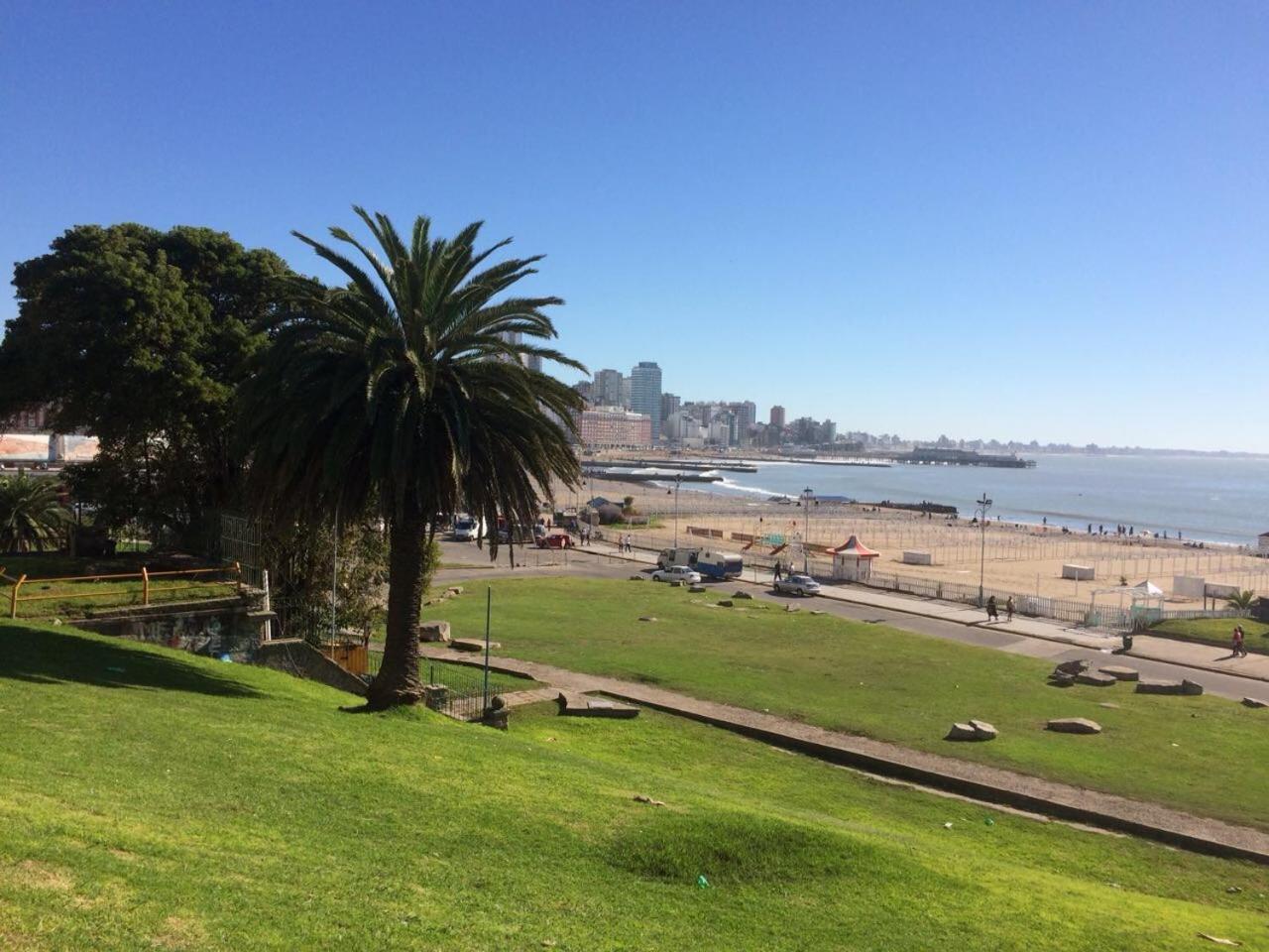 MDQ viva!