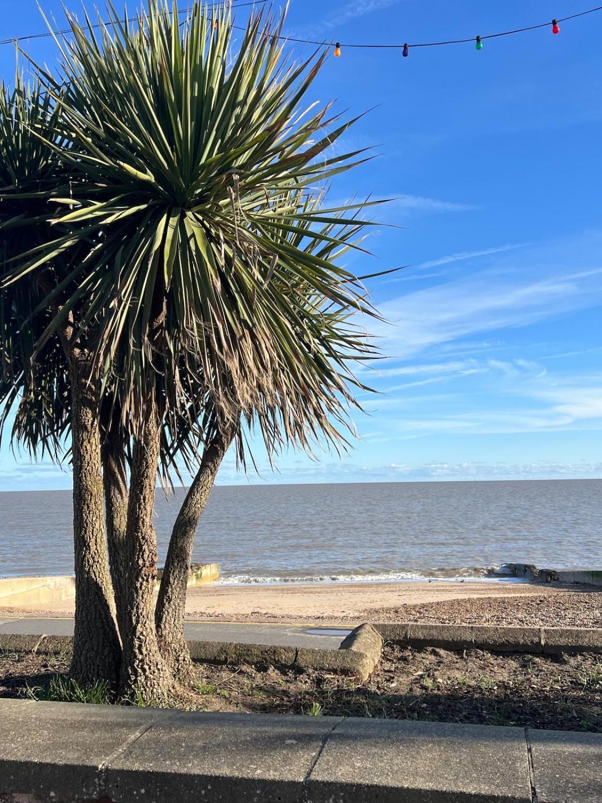 Stunning 3 bedroom flat for 5 people overlooking the sea 2A