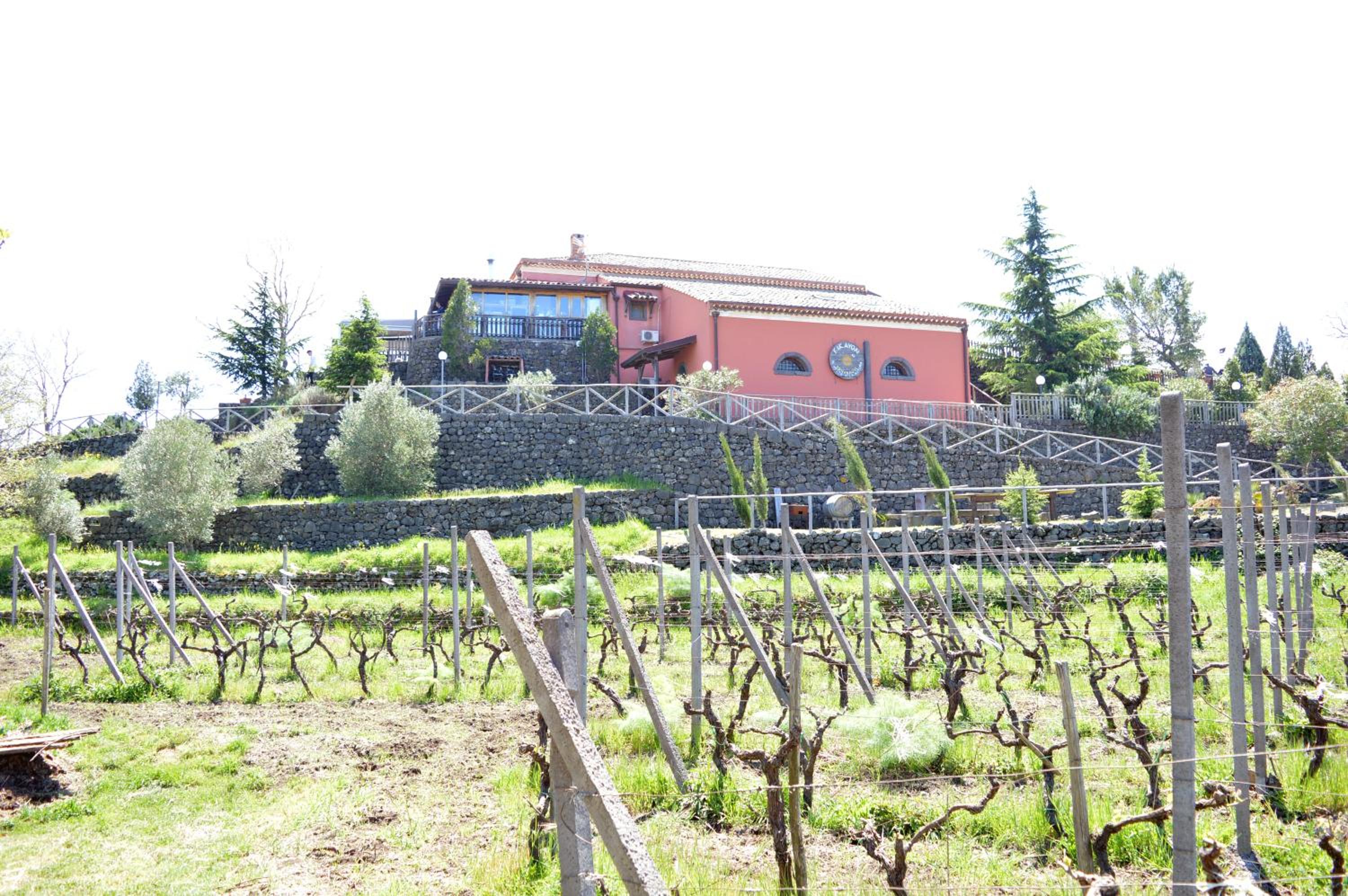 Agriturismo Kikajon