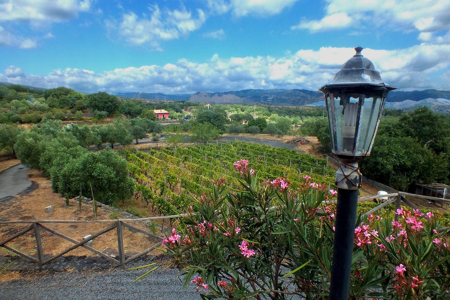 Agriturismo Kikajon