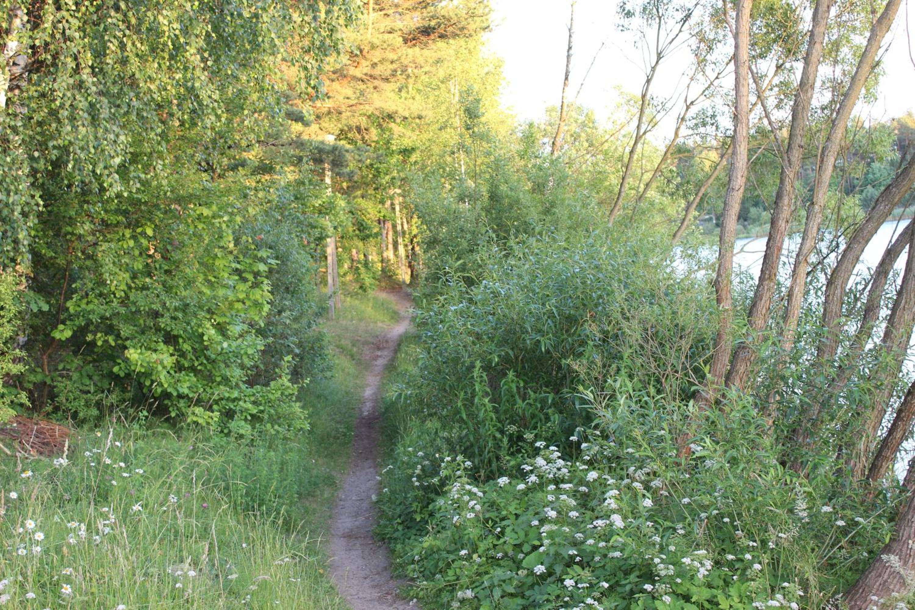 Photo 16