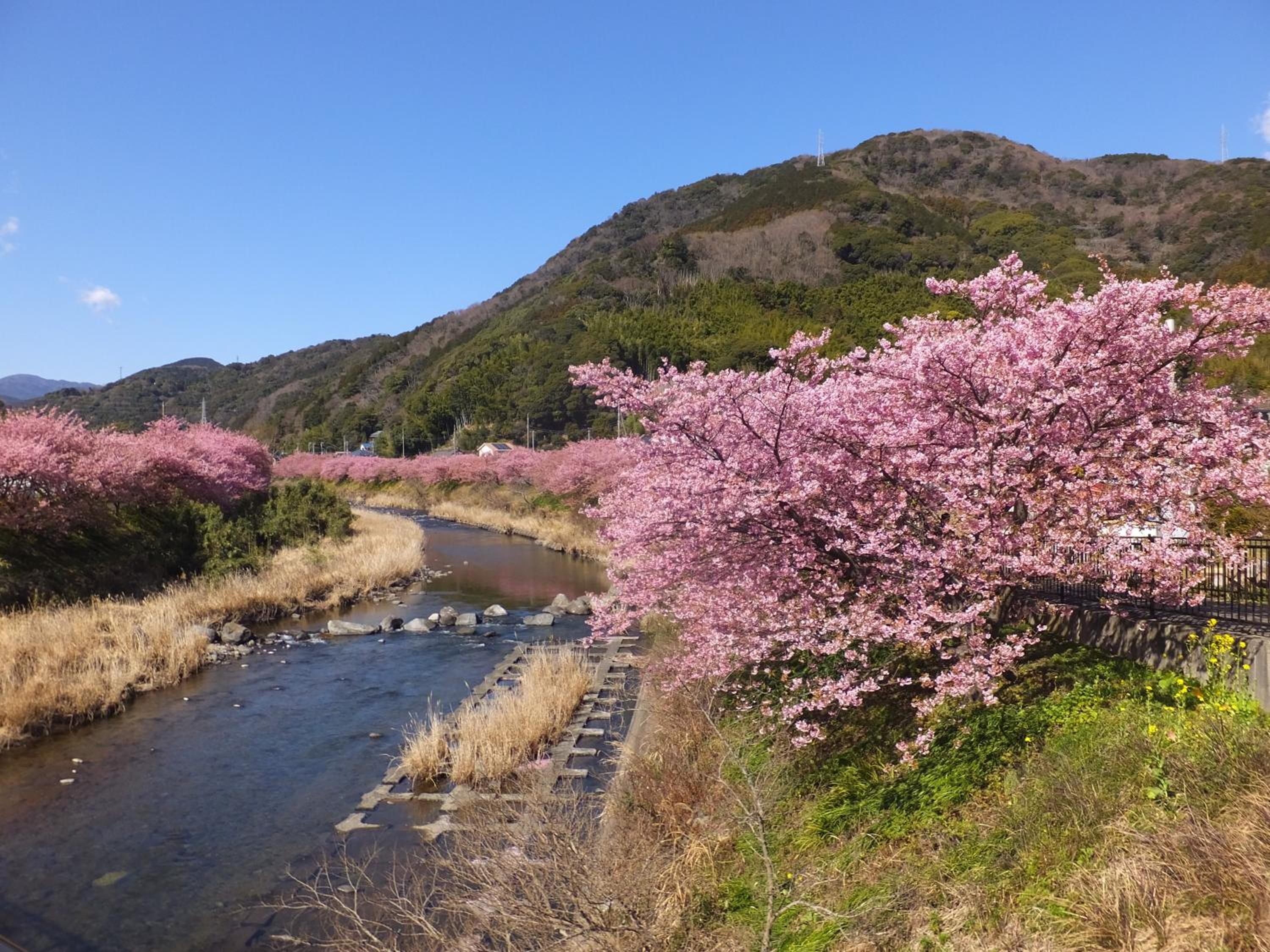 Ito Kowakien