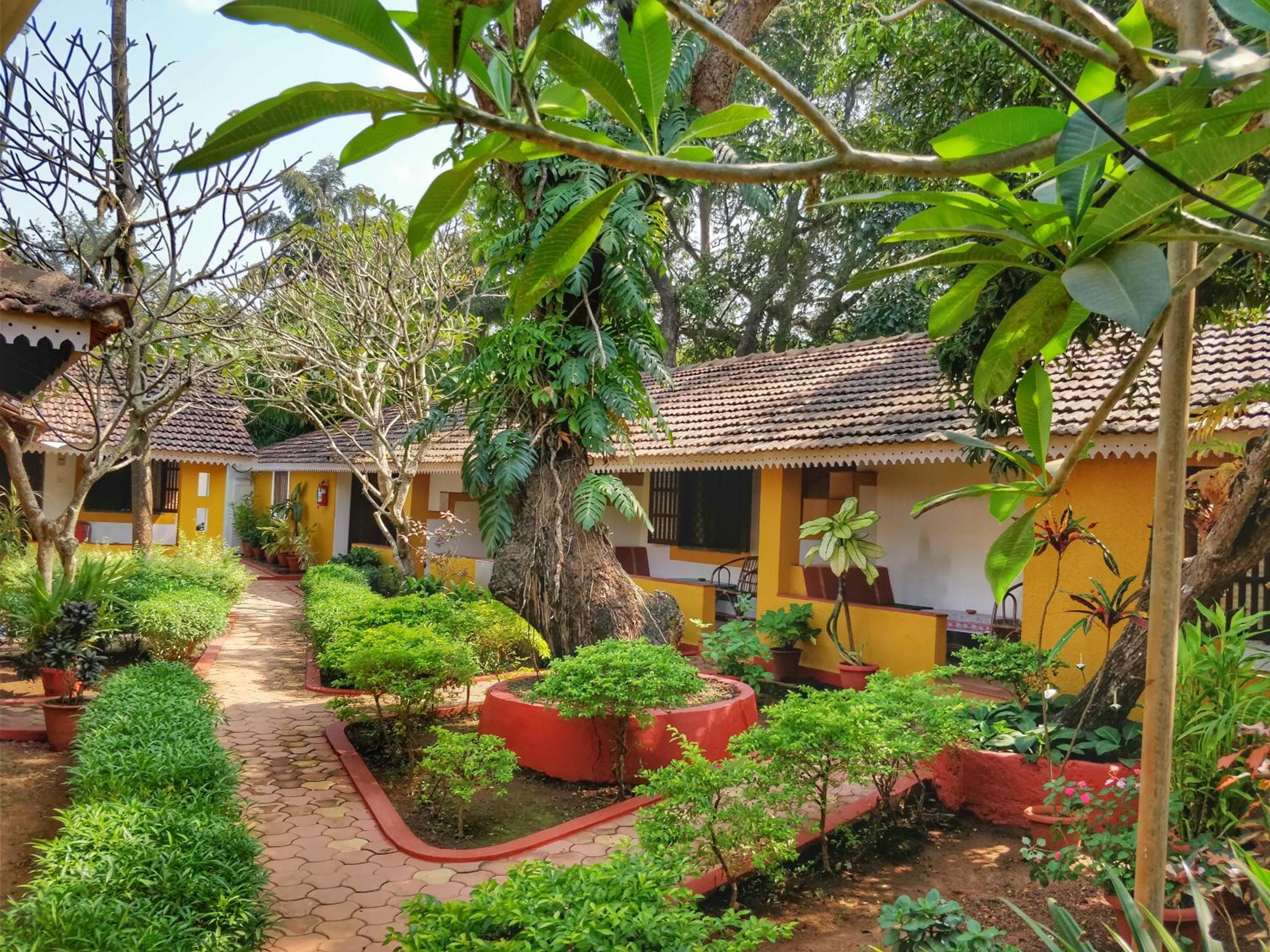 Granpa's Inn Hotel Bougainvillea