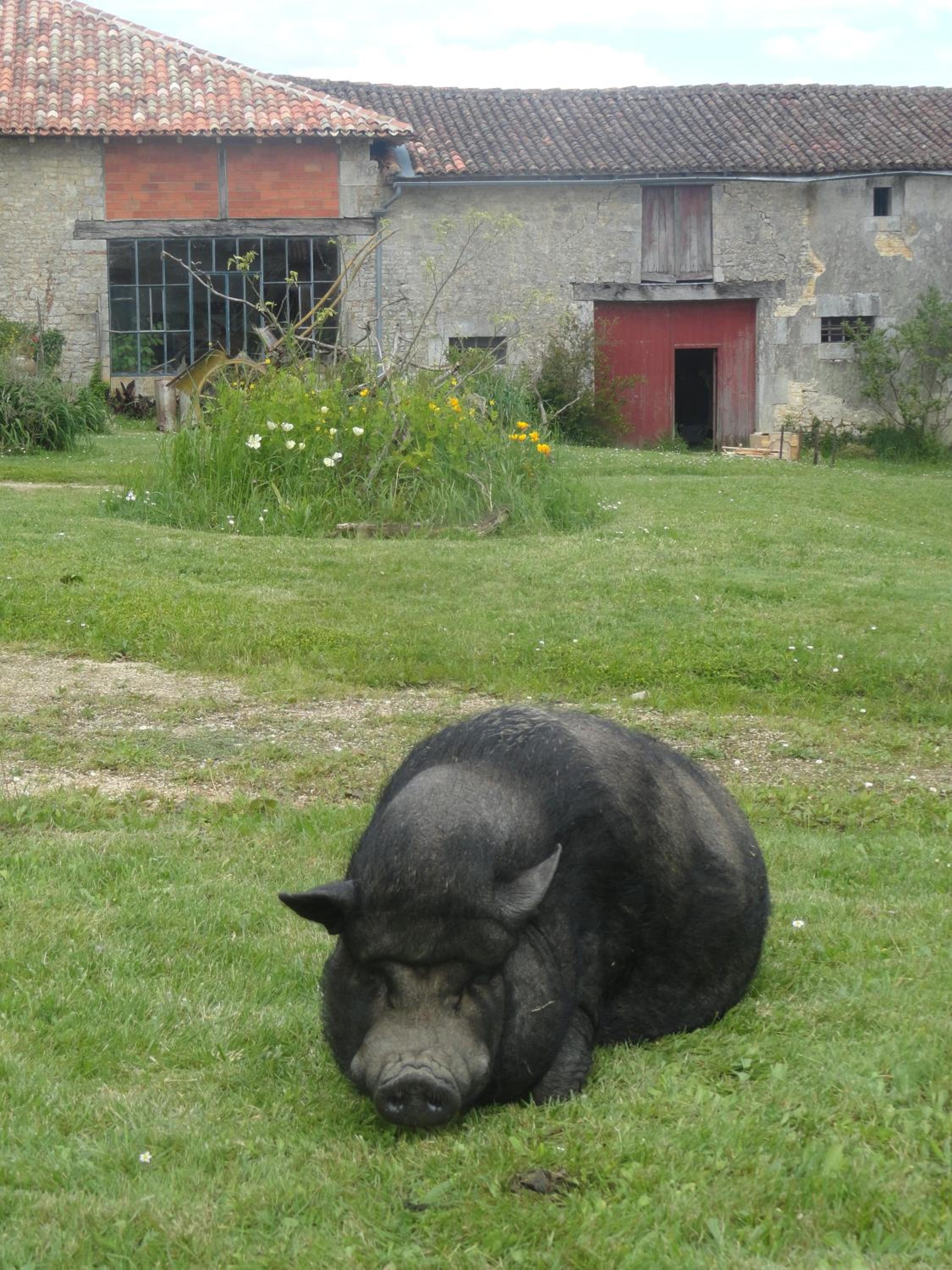Eco Logis de Chantegrolle