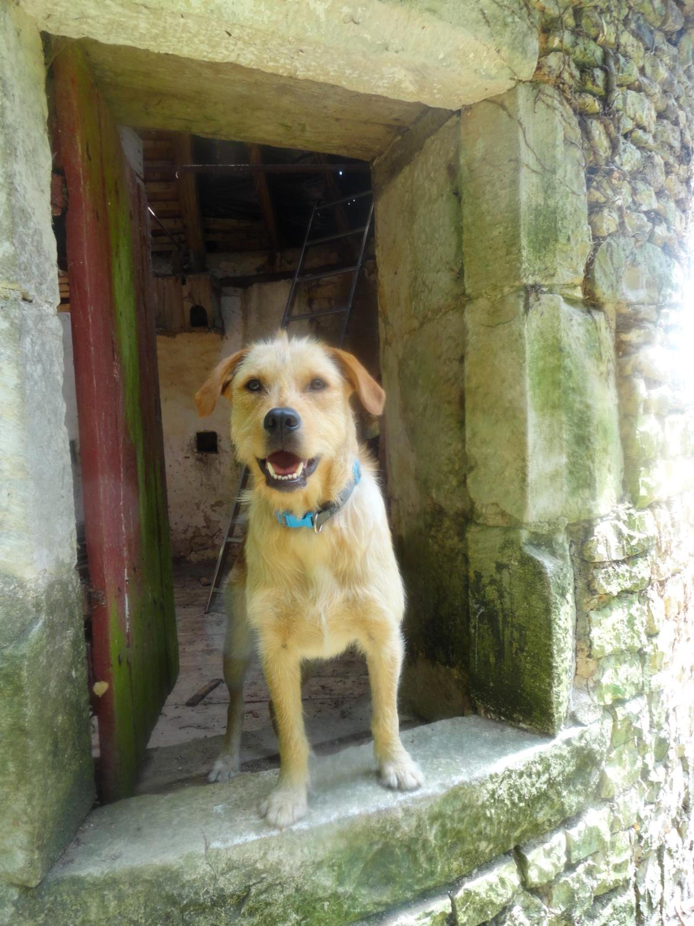 Eco Logis de Chantegrolle