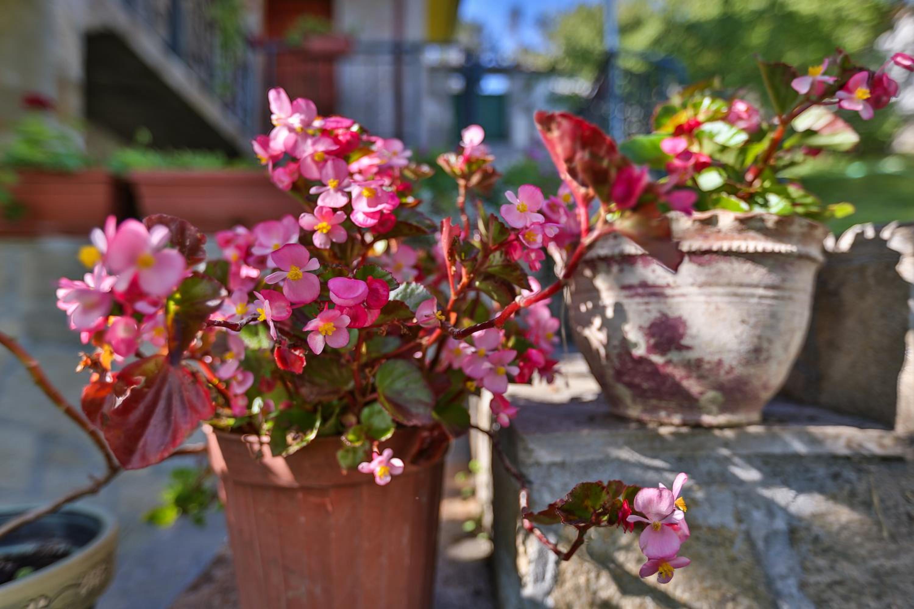 Guest House Villa Teres