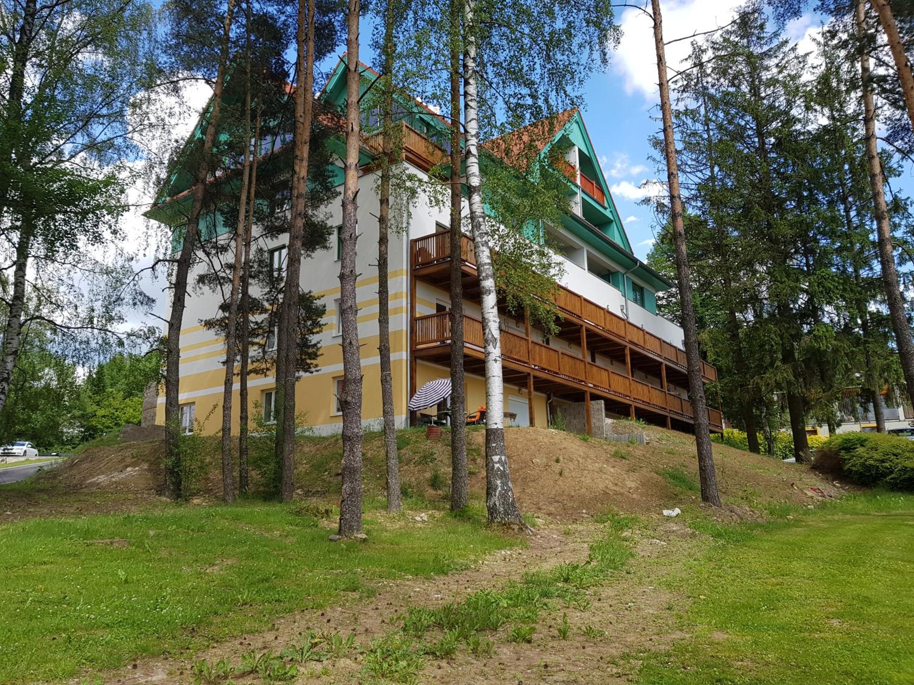 Photo 11