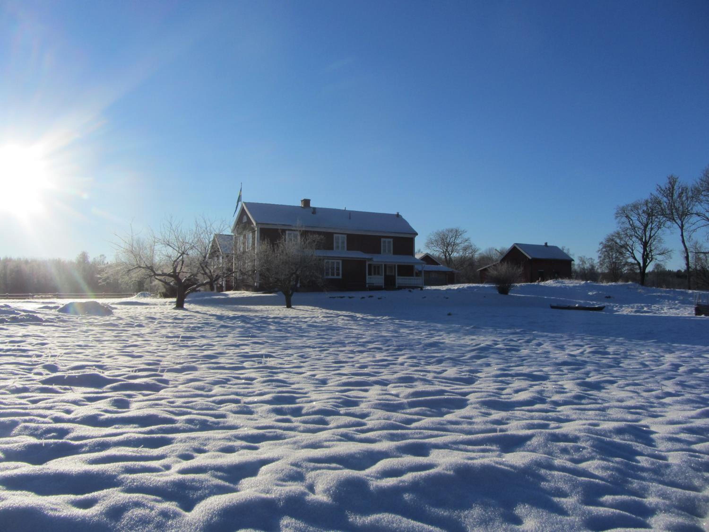 Photo 15