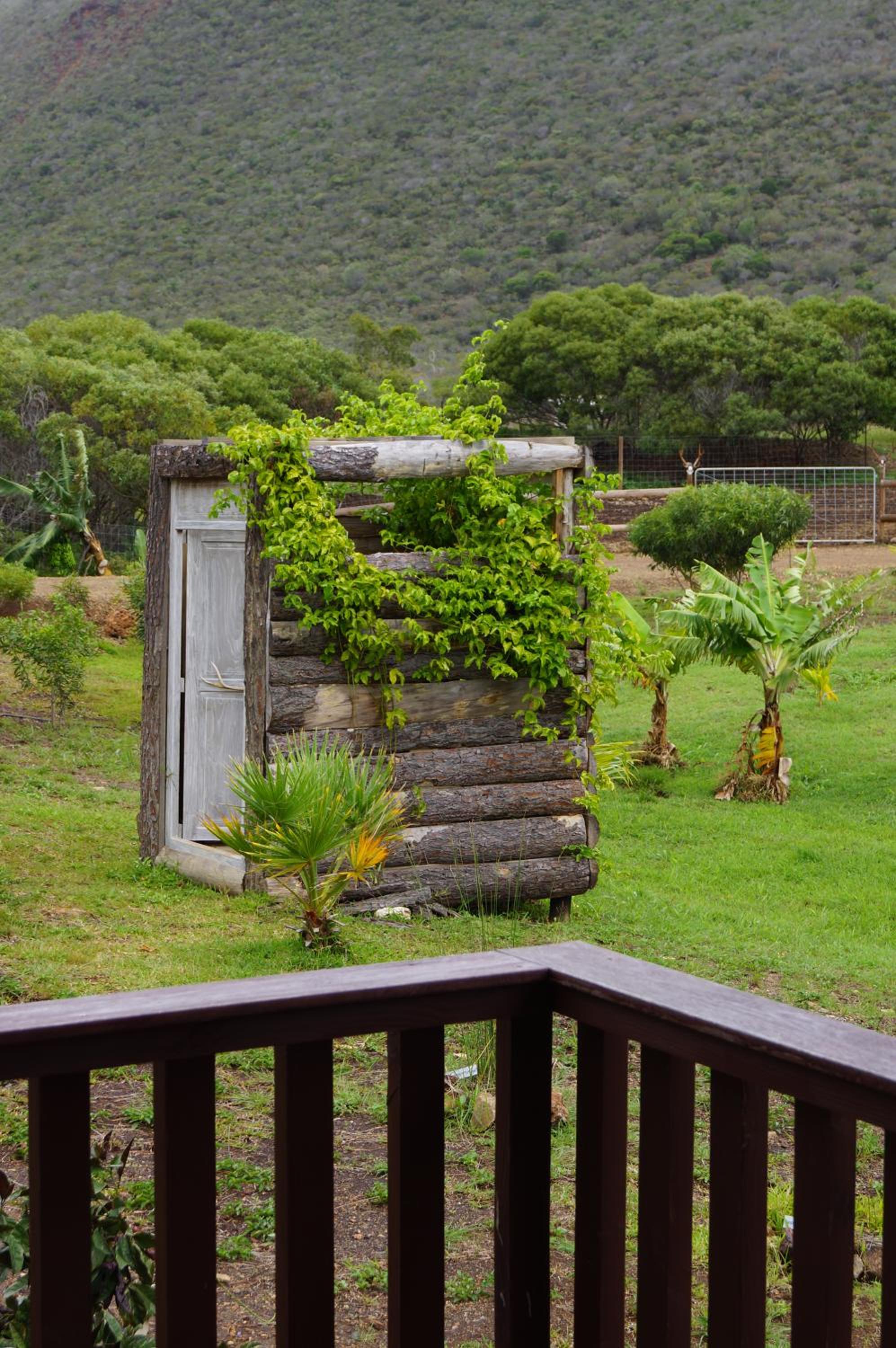 Le Gîte du Koniambo