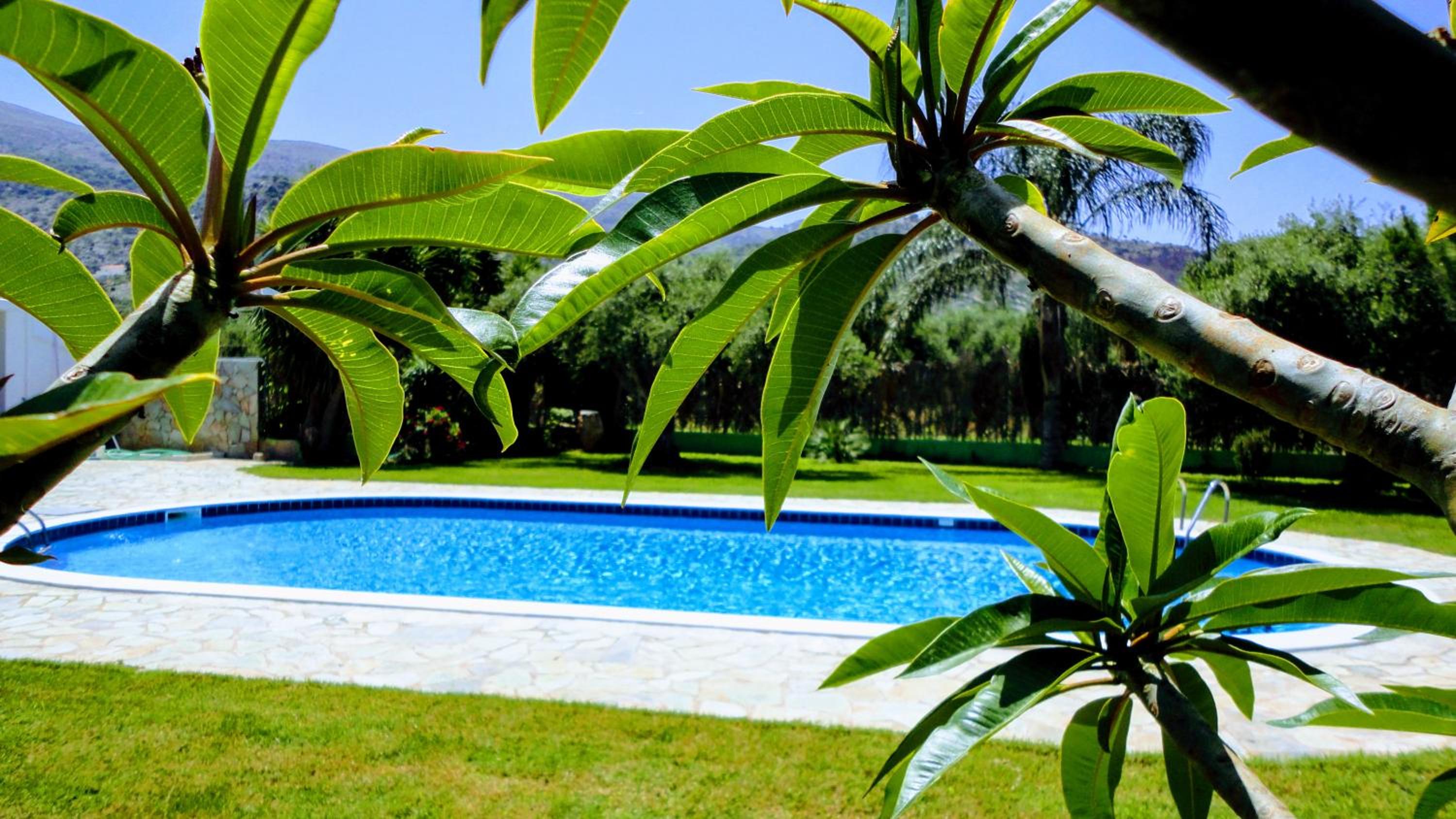 Malia Vacations - Ibiscus Hotel Malia - Property Image 3