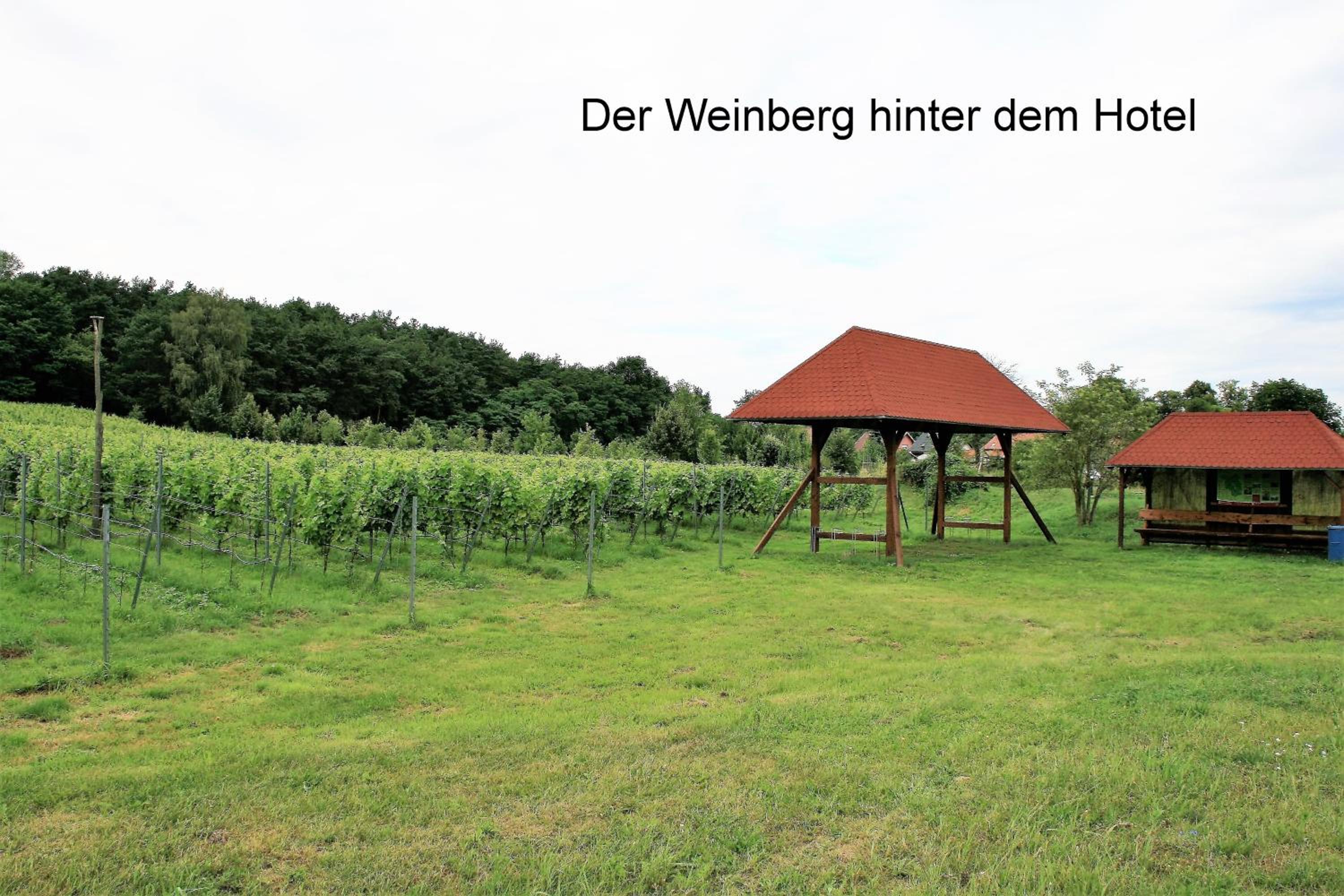 Ferienappartements Am Weinberg - Property Image 13