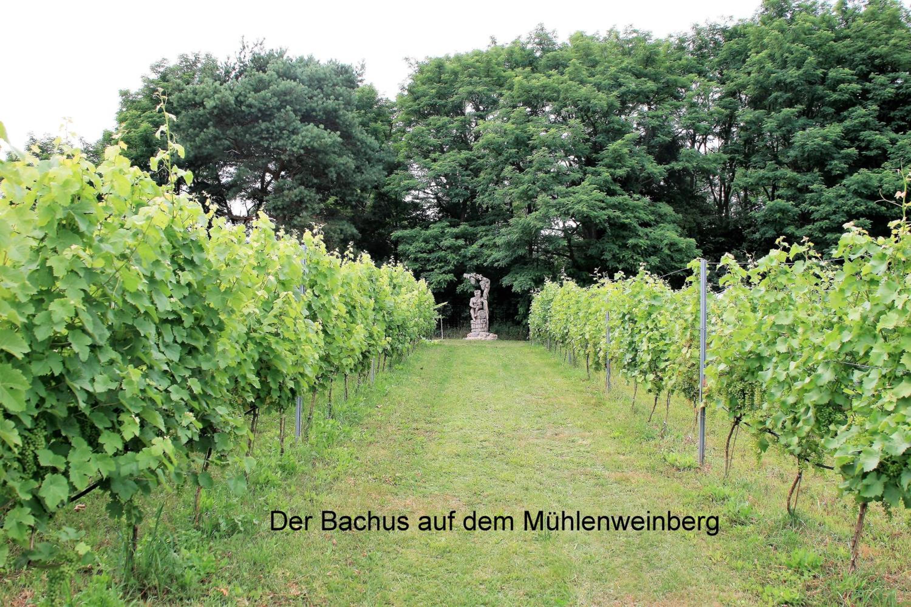 Ferienappartements Am Weinberg - Property Image 11