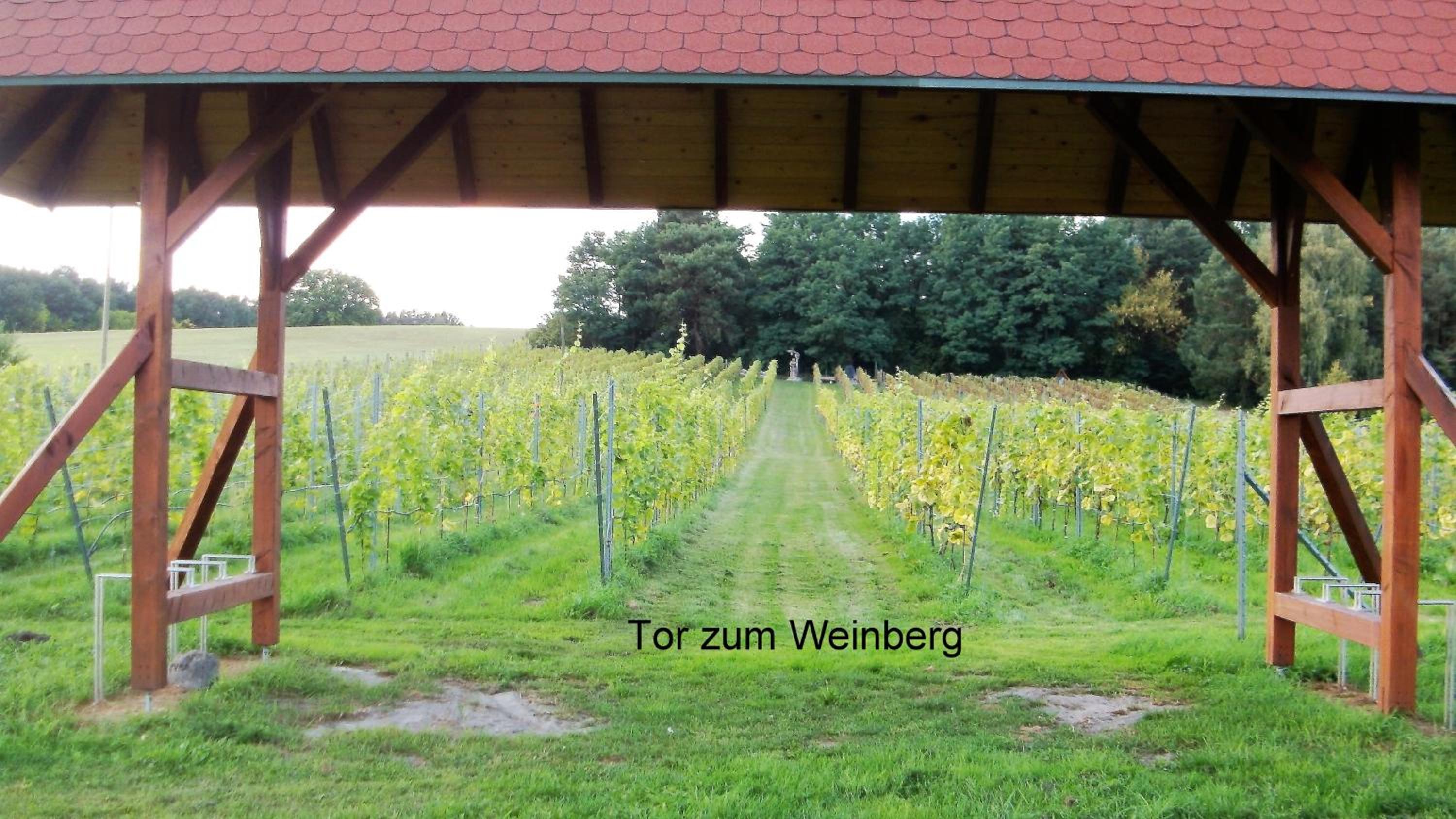 Ferienappartements Am Weinberg - Property Image 12