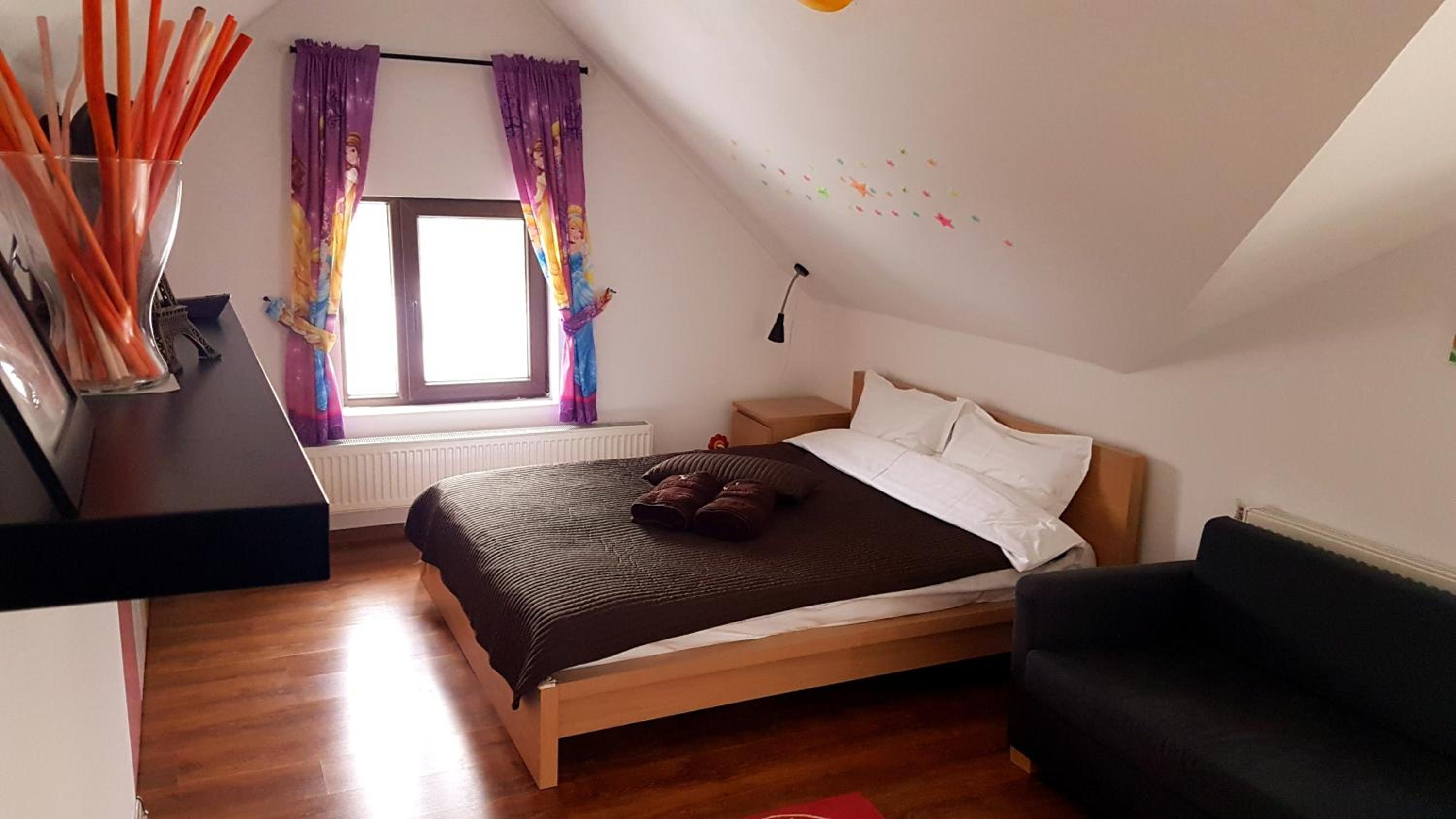 Pensiunea Casa Runcu Buzau view 2