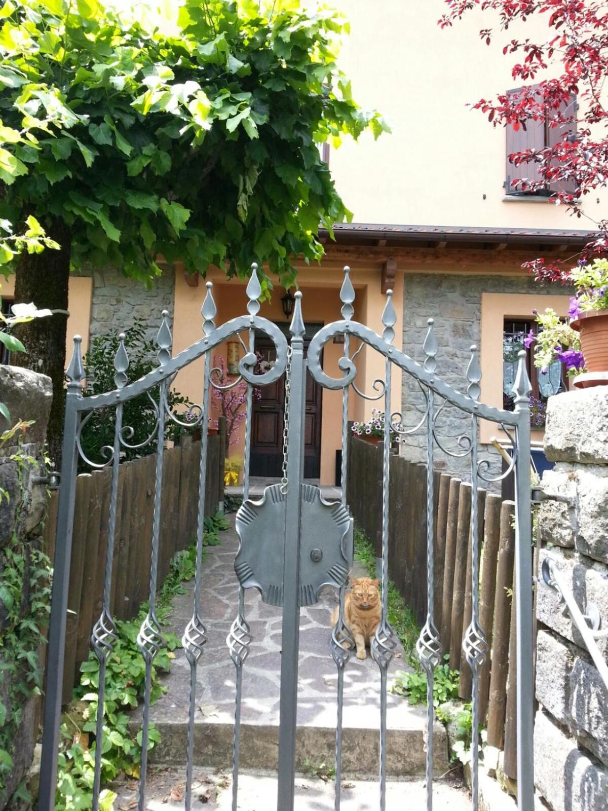 Photo 17