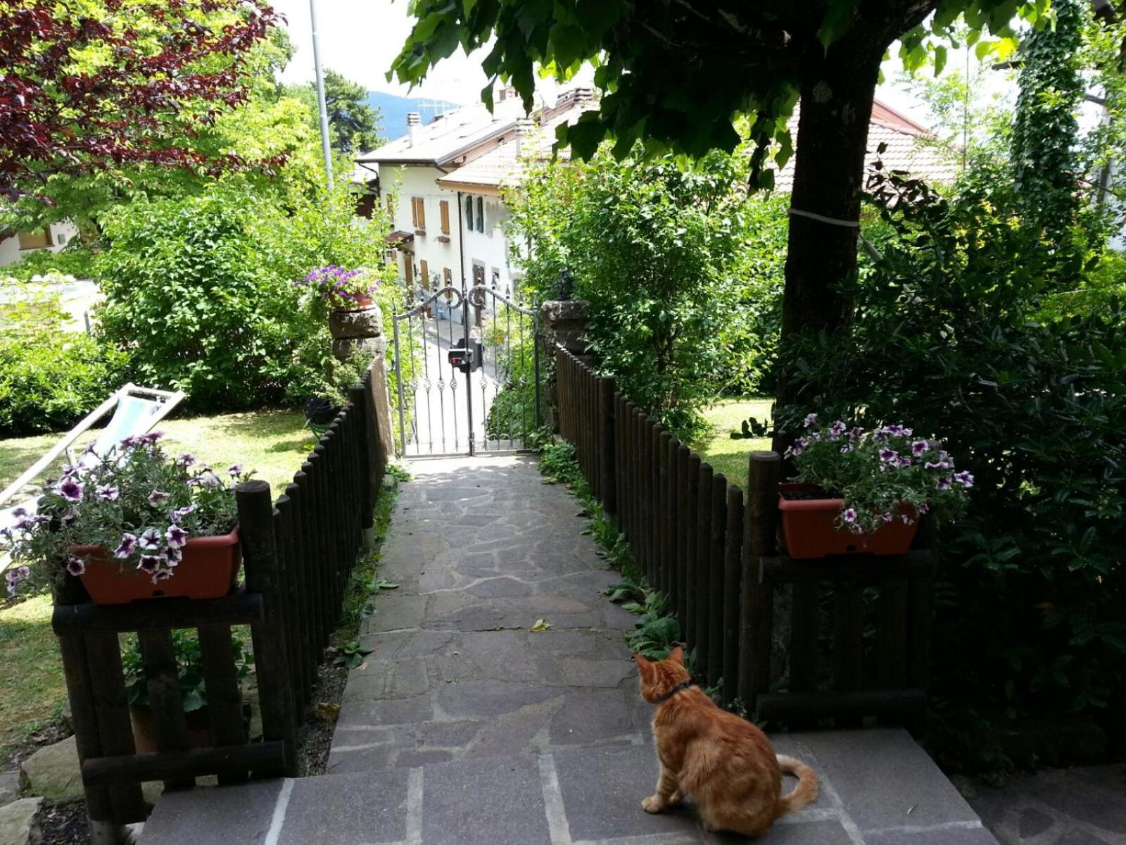 Photo 18