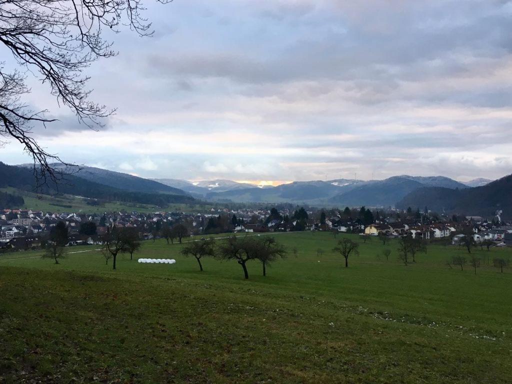 Mattenhof view 4
