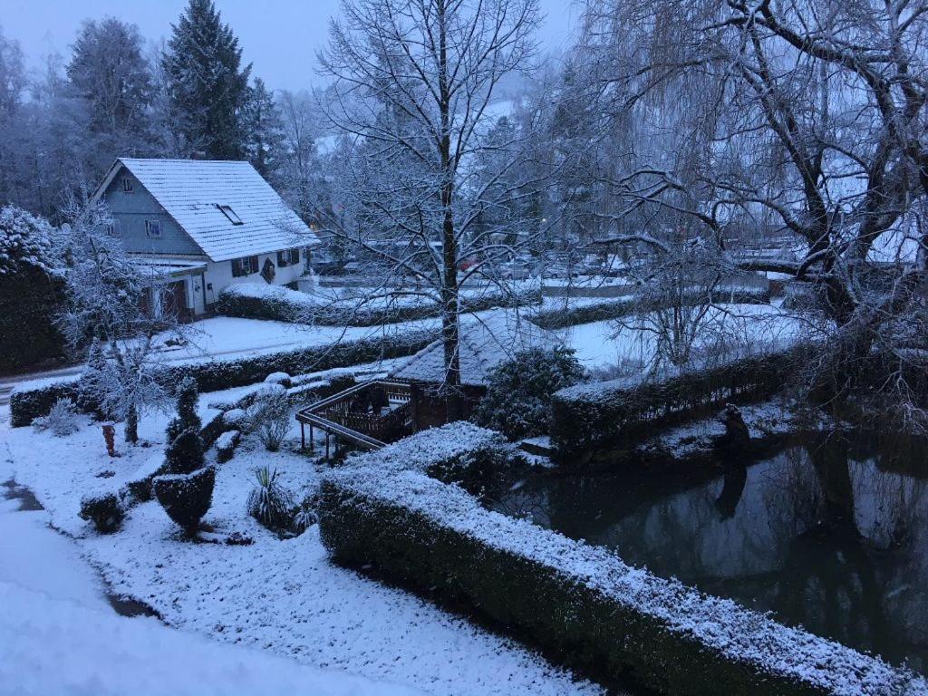 Mattenhof view 3