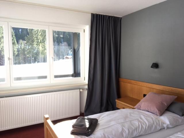Photo 43