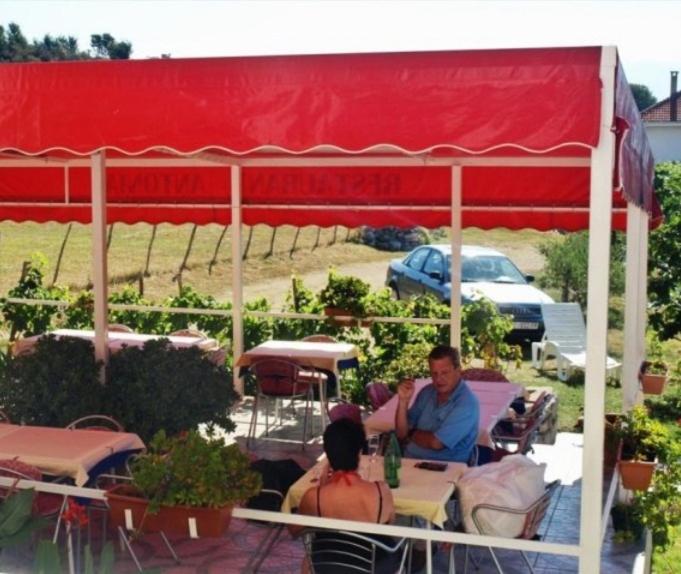 Pension Antonia