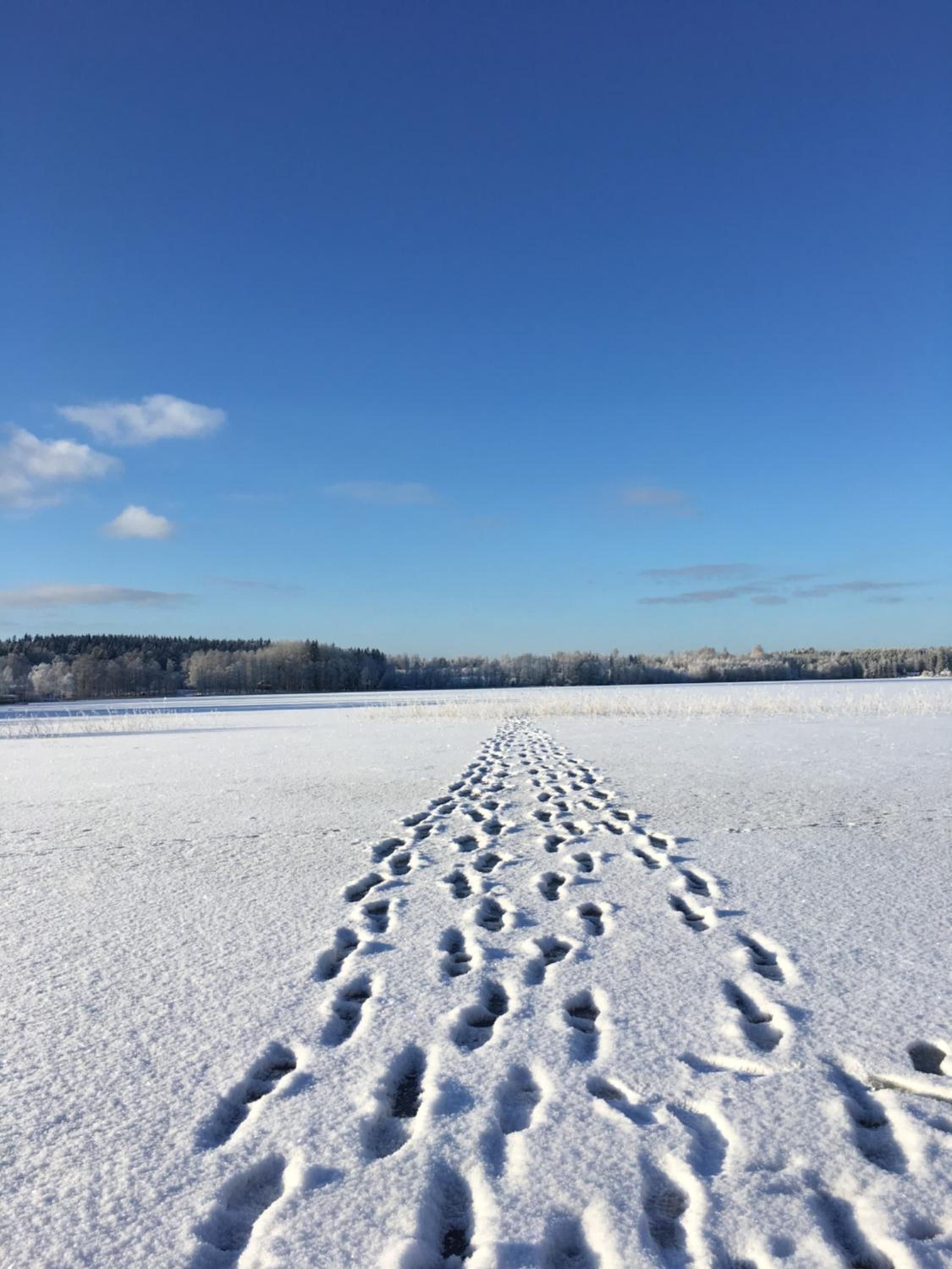 Snokebo Gård view 2