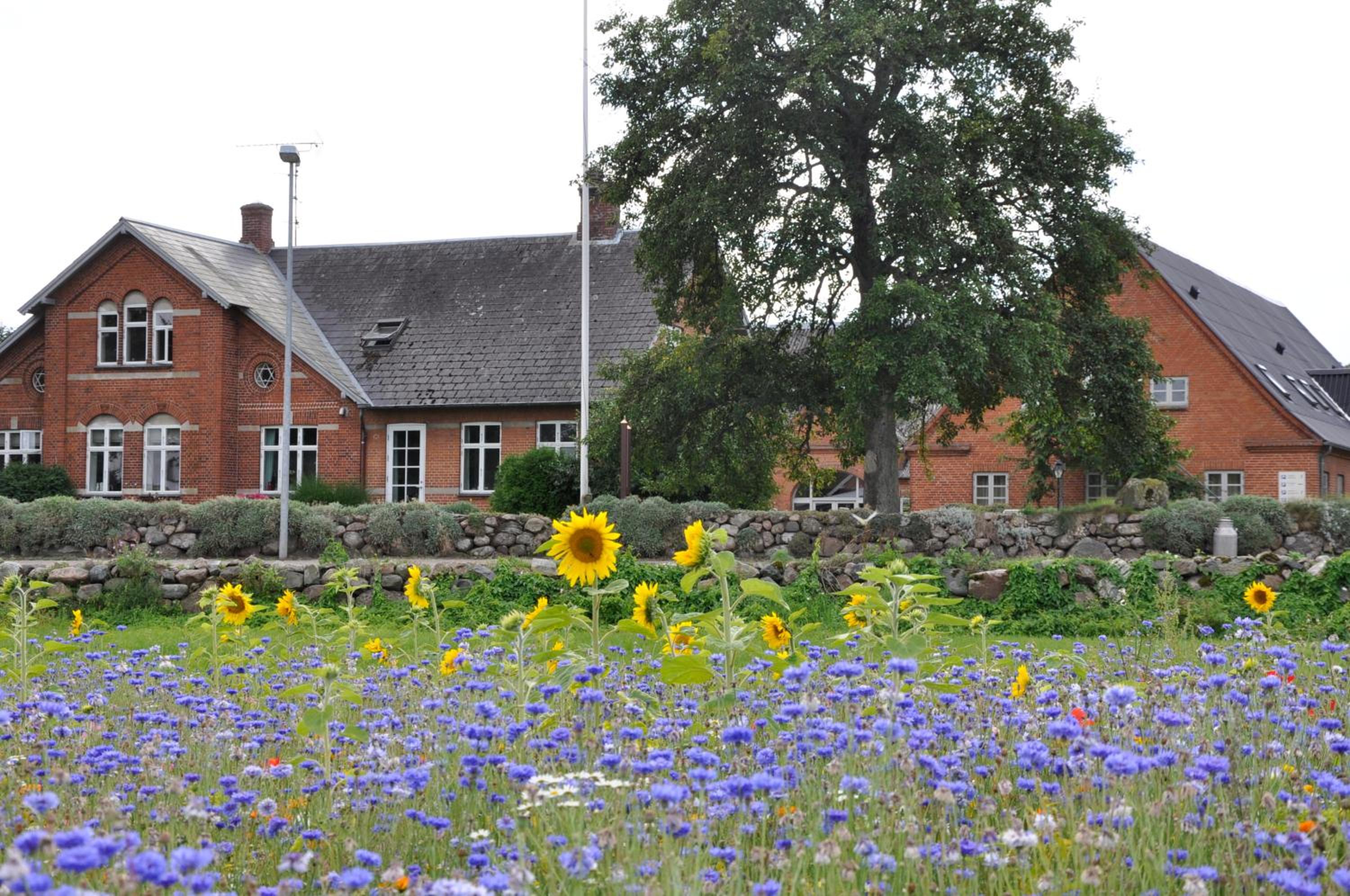 Lundsgaard Bed & Breakfast view 2