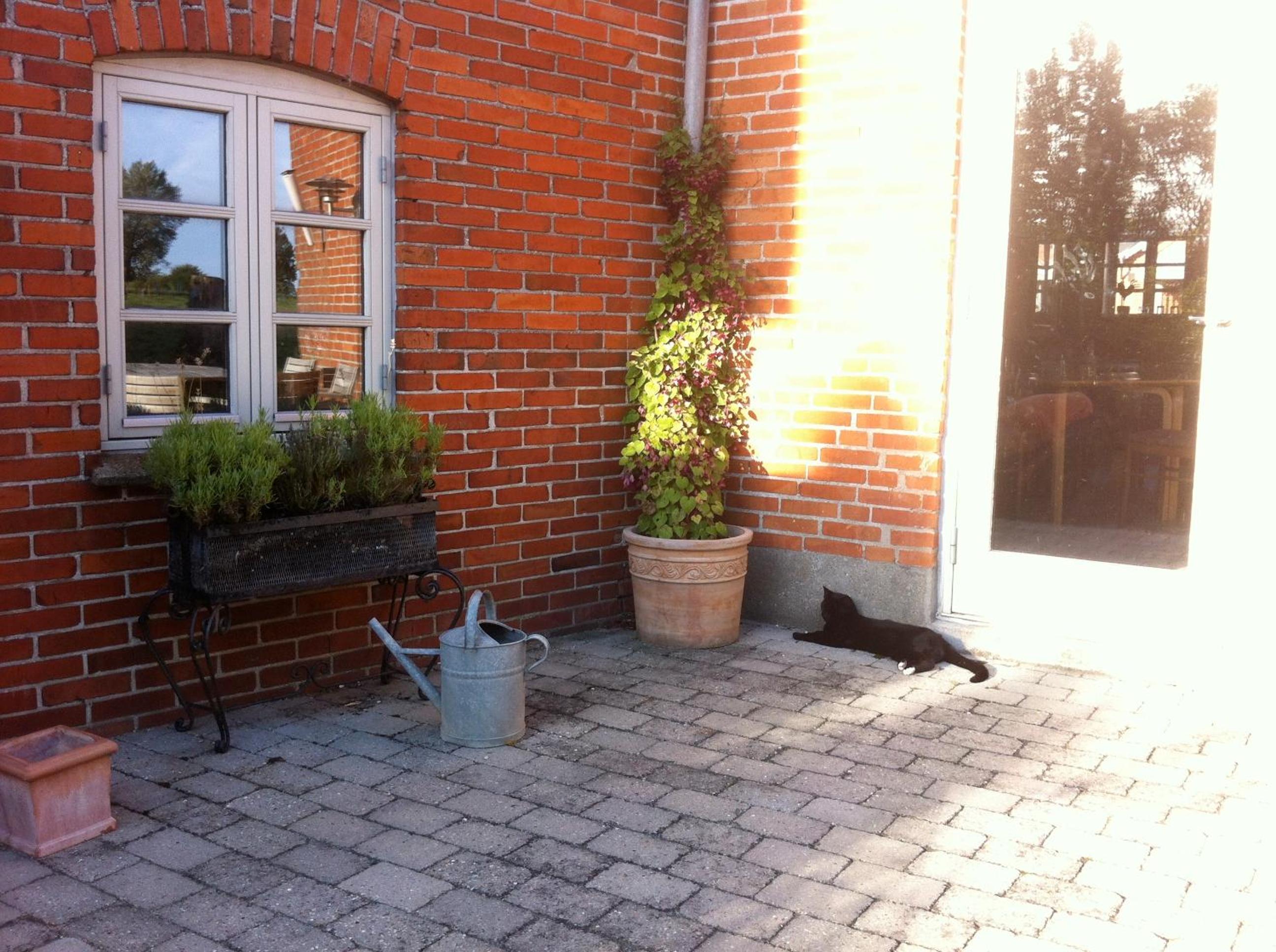 Photo 27