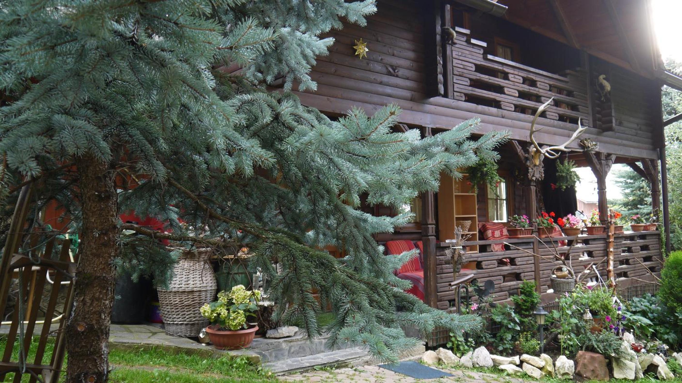 Photo 25