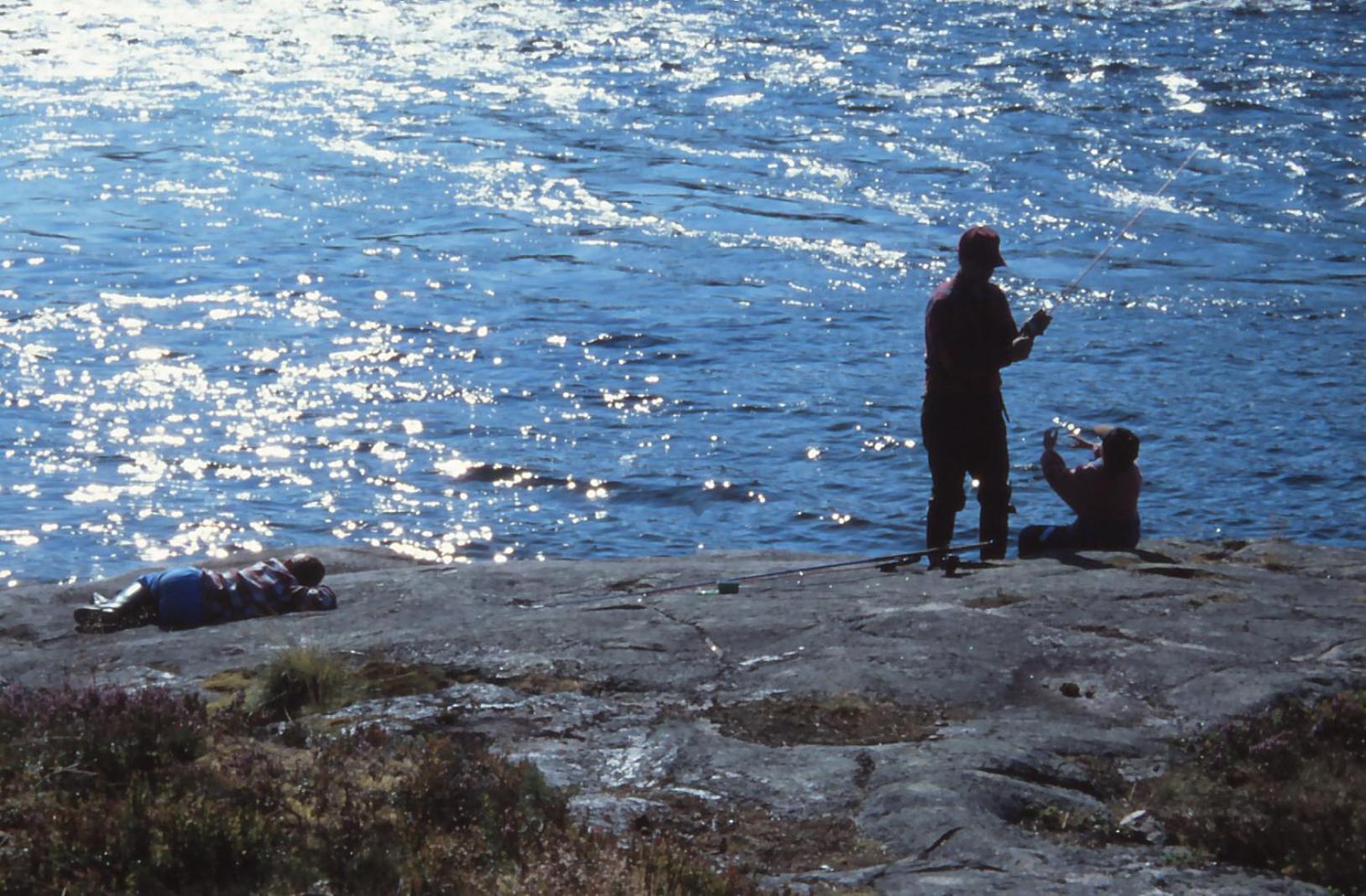 Photo 43